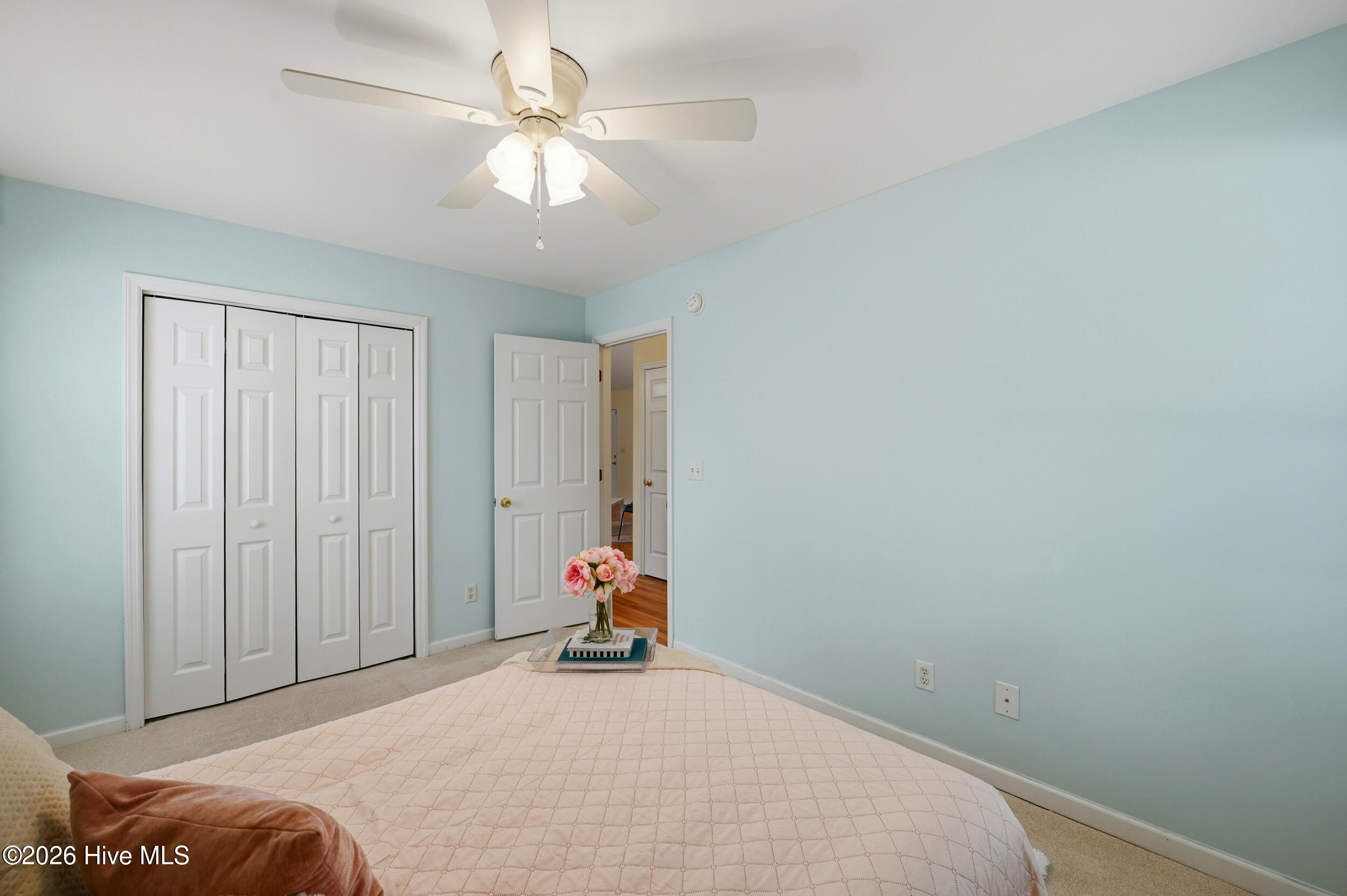 100562256 | Photo 24