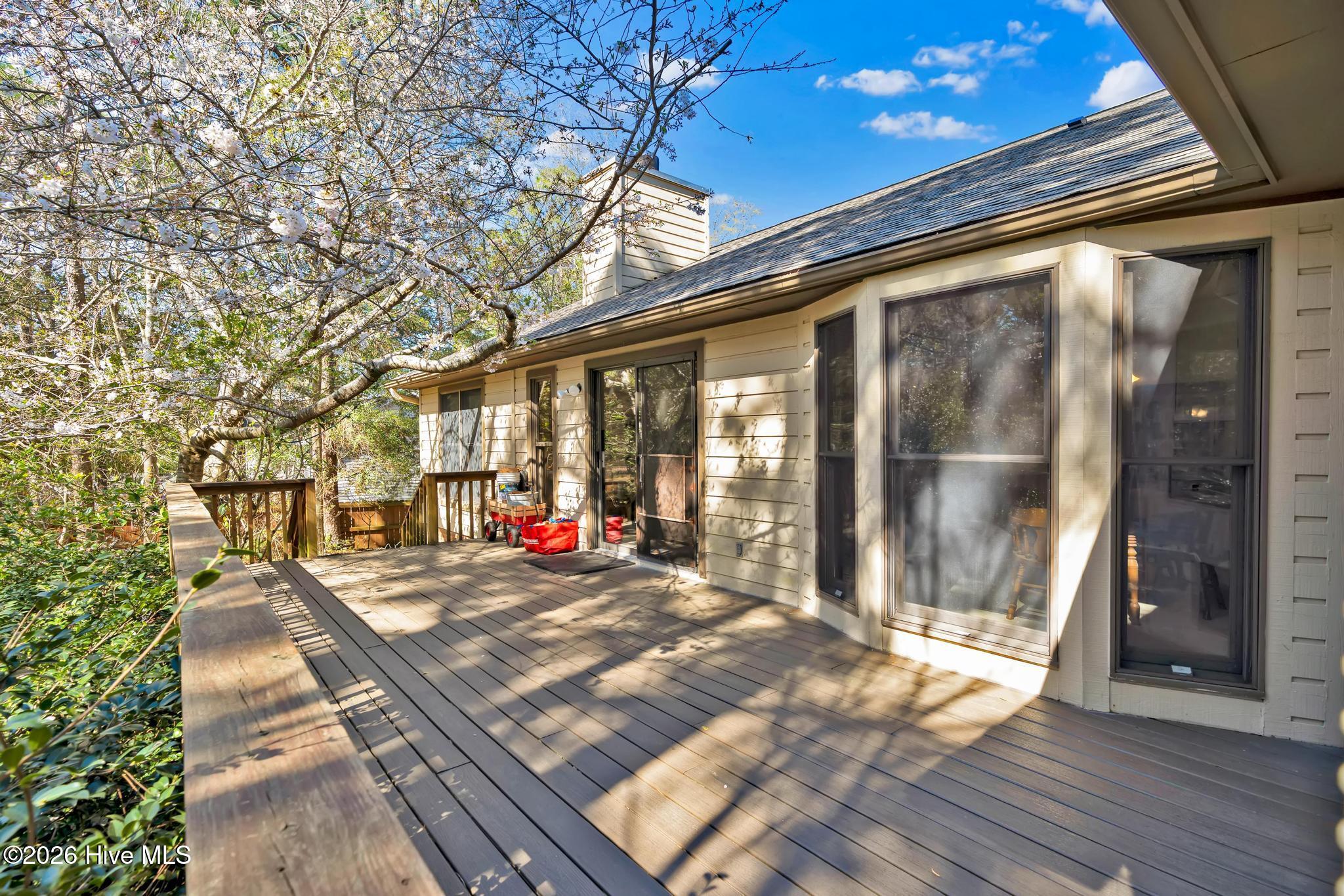 100561696 | Photo 22