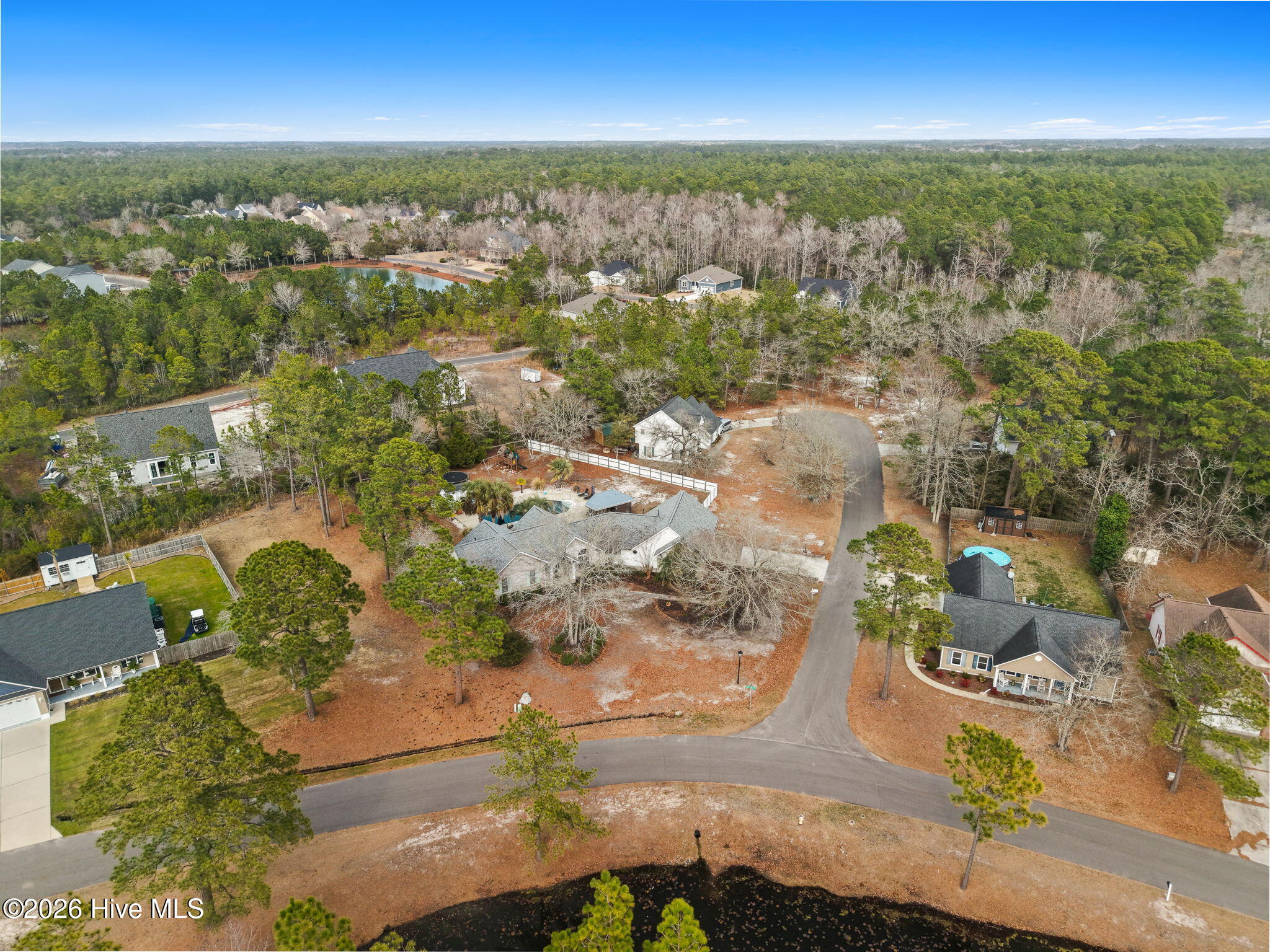 100556346 | Photo 47