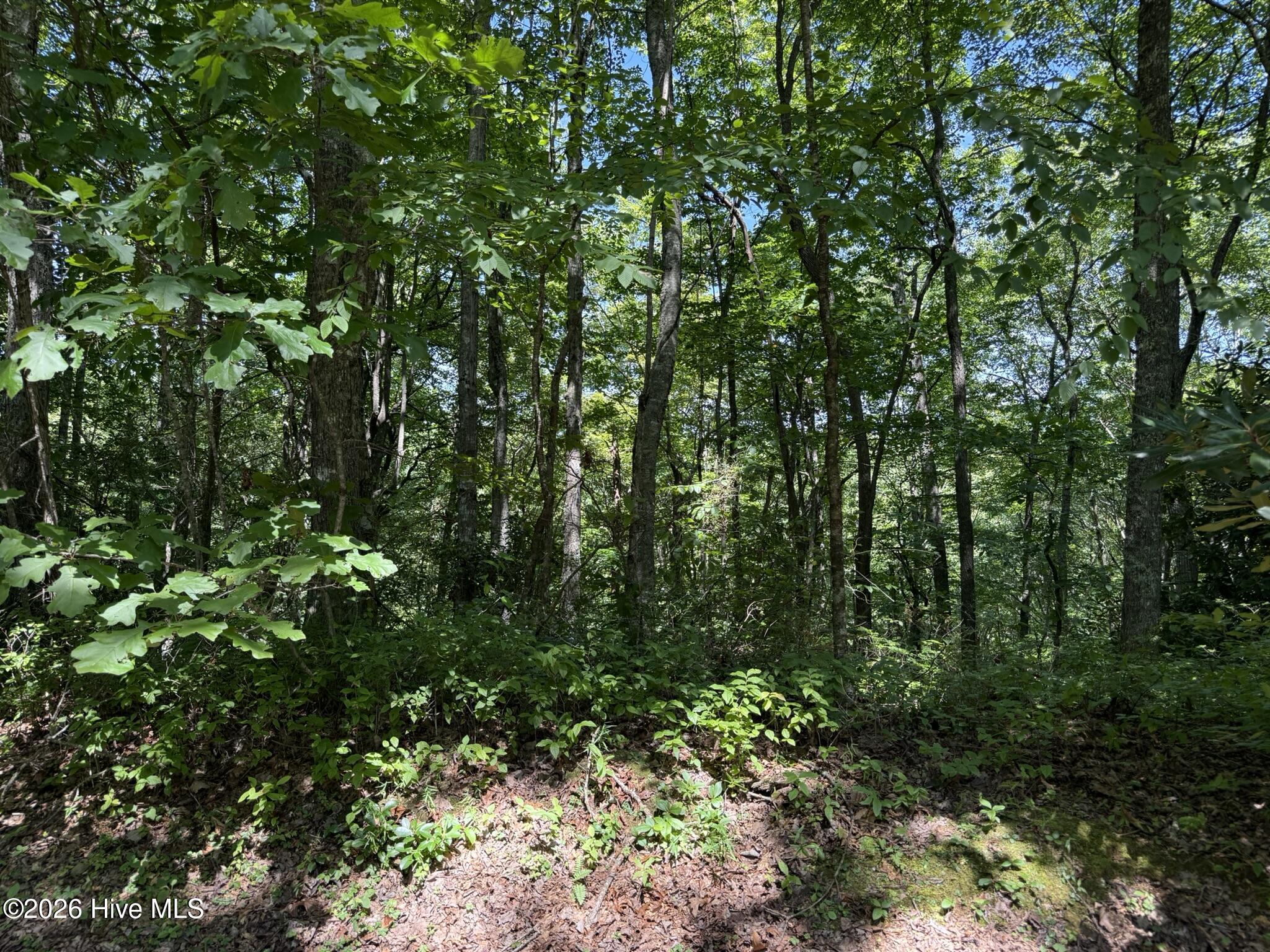 1st image of Lot 3 Amber Ln, Topton, NC 28781 | MLS# 100598519