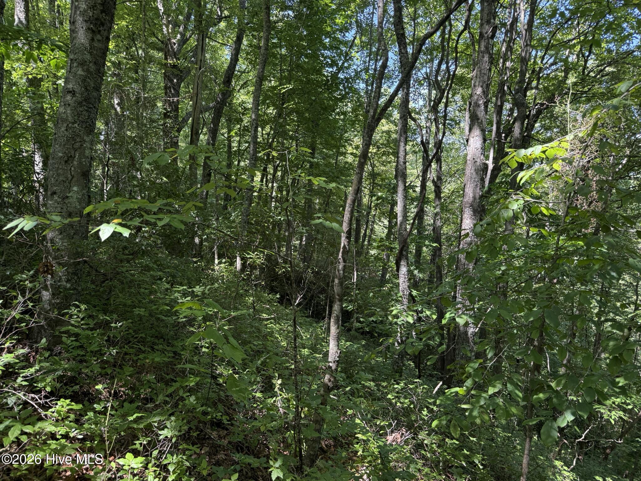 1st image of Lot 2 Amber Ln, Topton, NC 28781 | MLS# 100598517