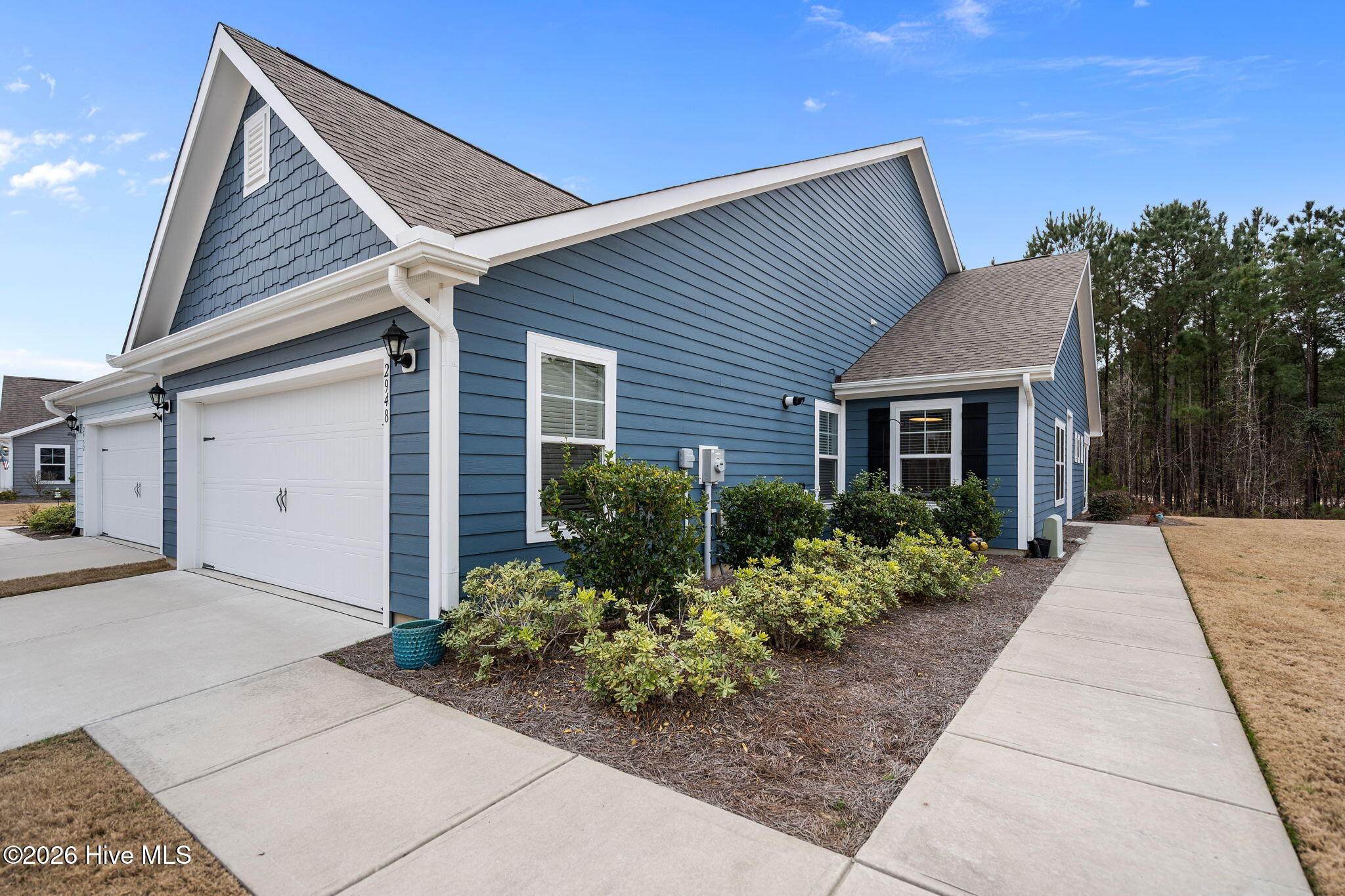 100558026 | Photo 16