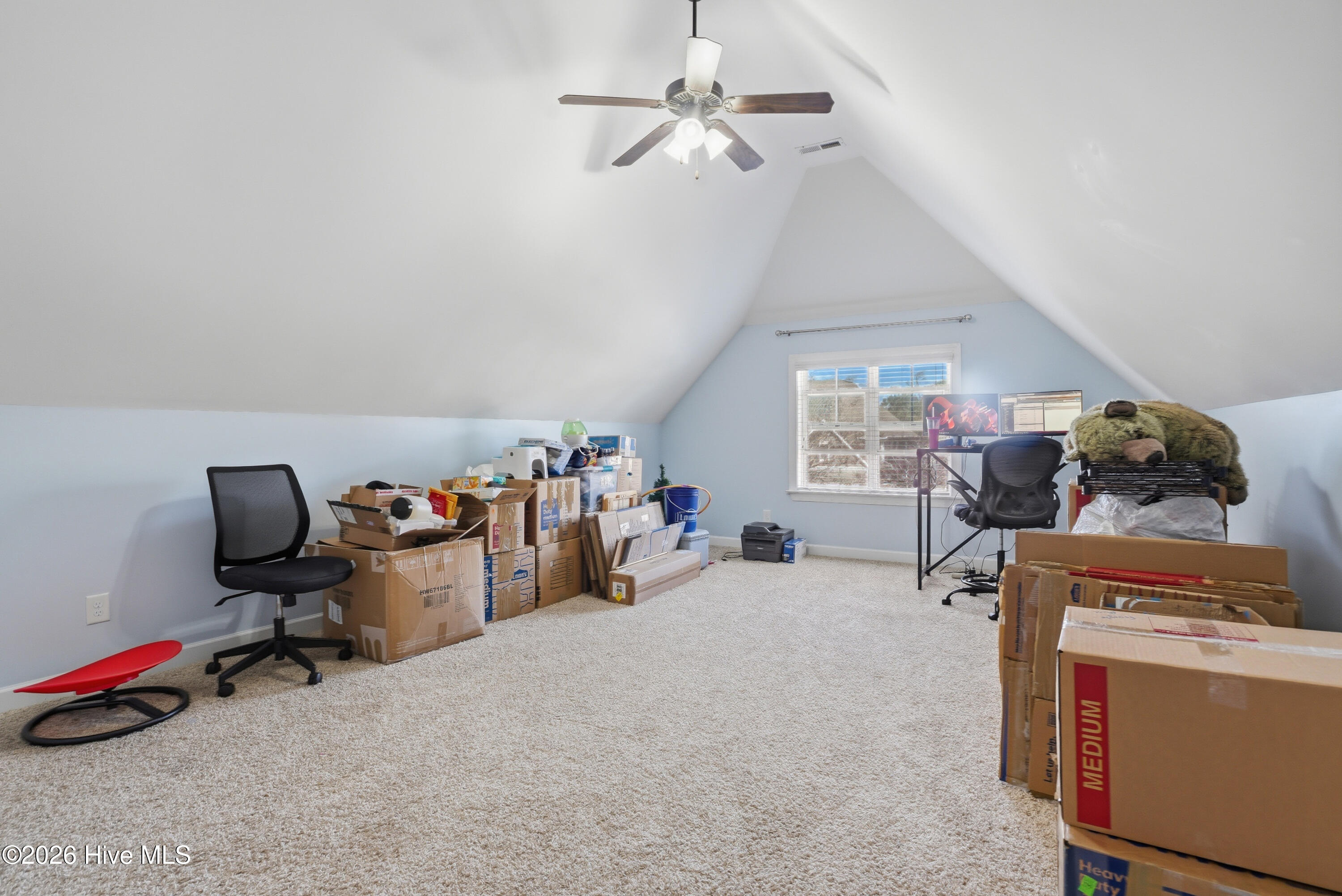 100564087 | Photo 41