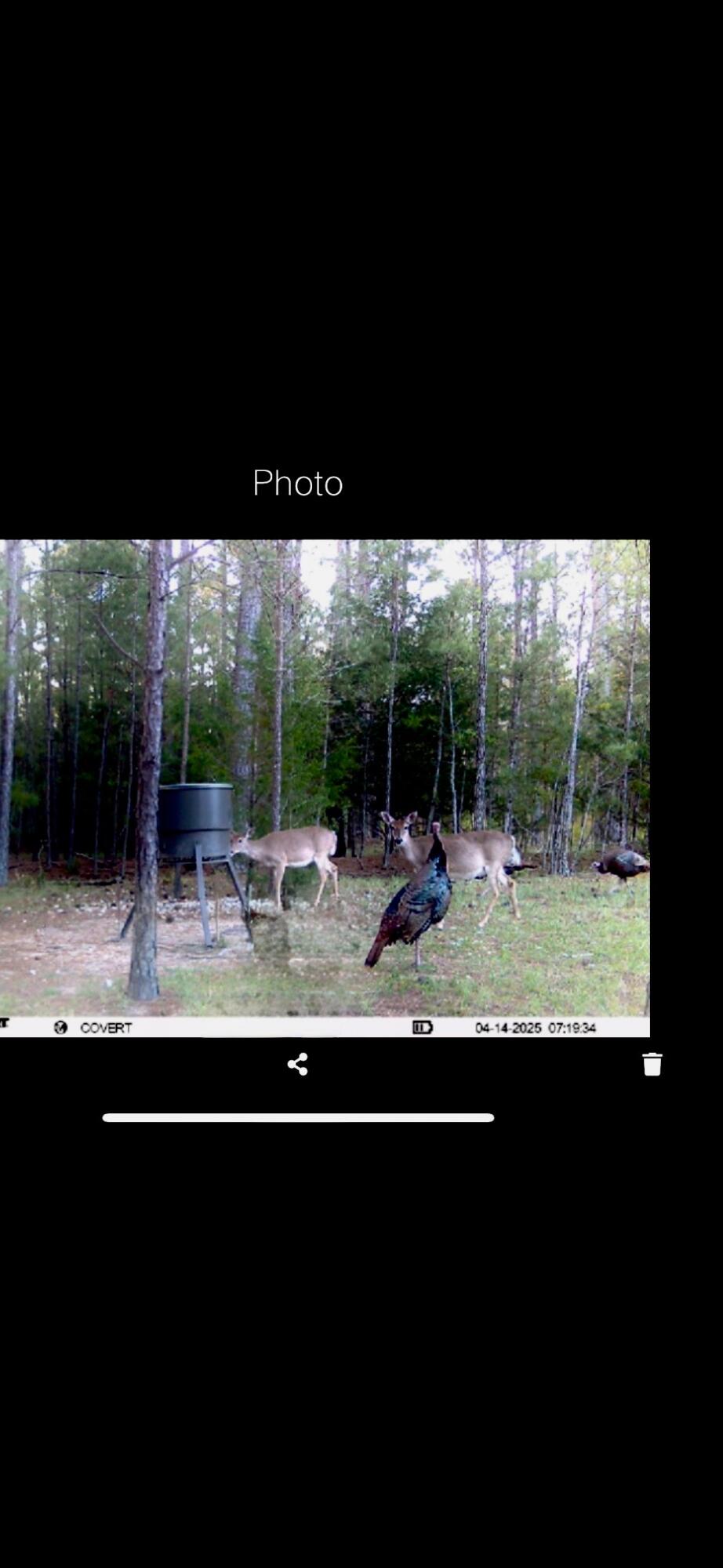 Homes for sale in Lincolnton, GA | 0 Pineridge Dr, Lincolnton, GA 30817 | MLS# 550091