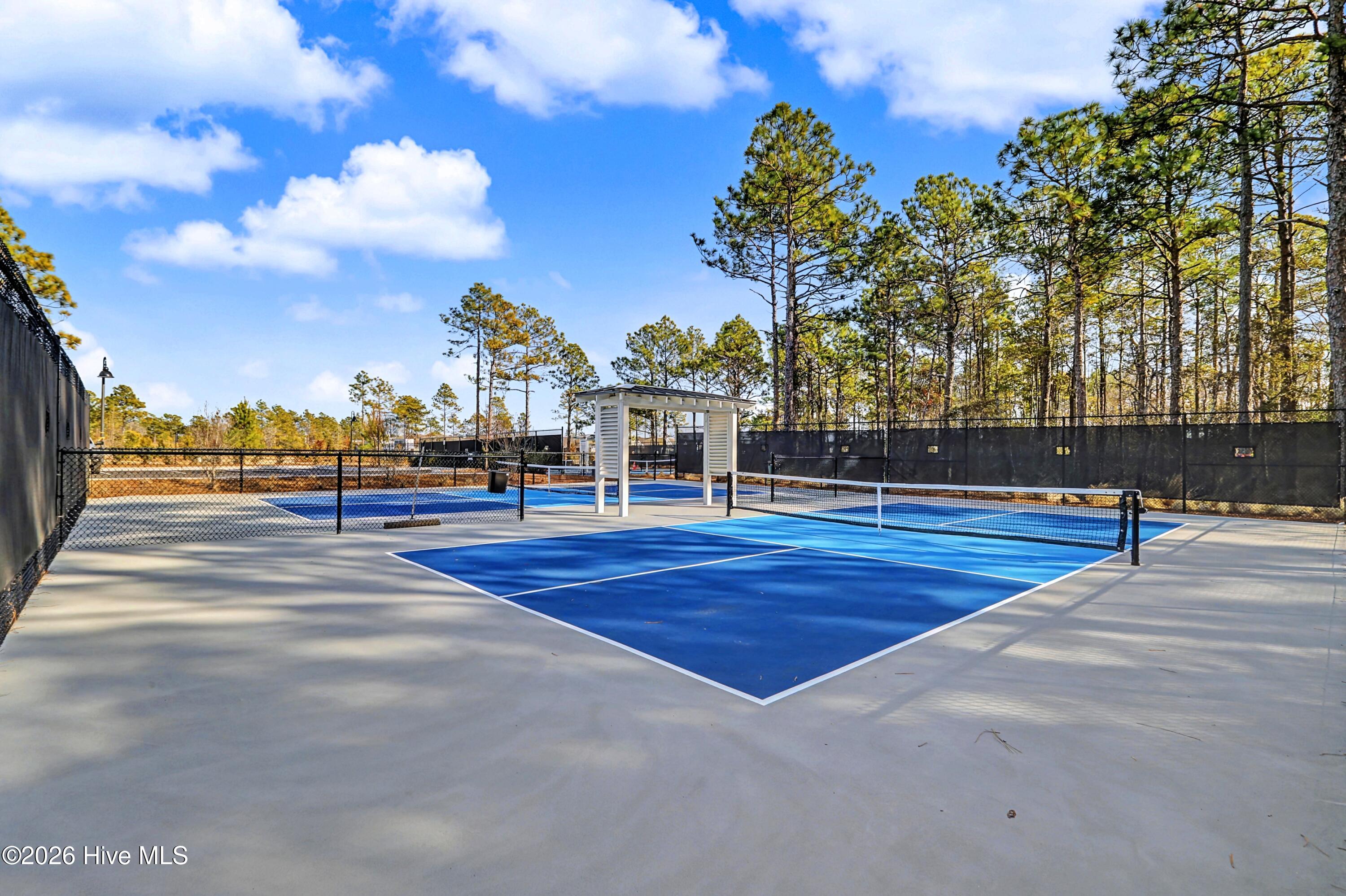 100553259 | Photo 44