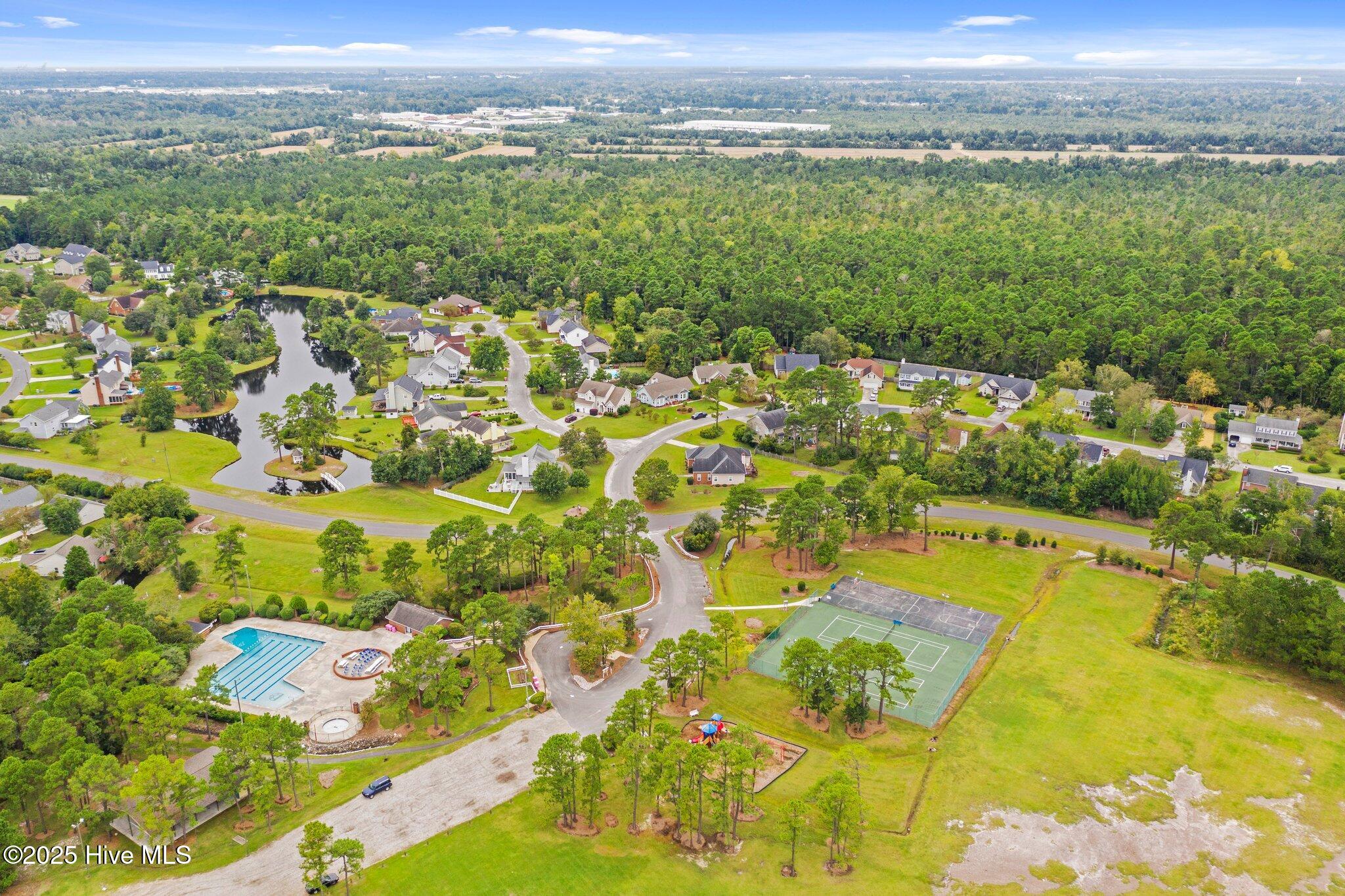 100540113 | Photo 49