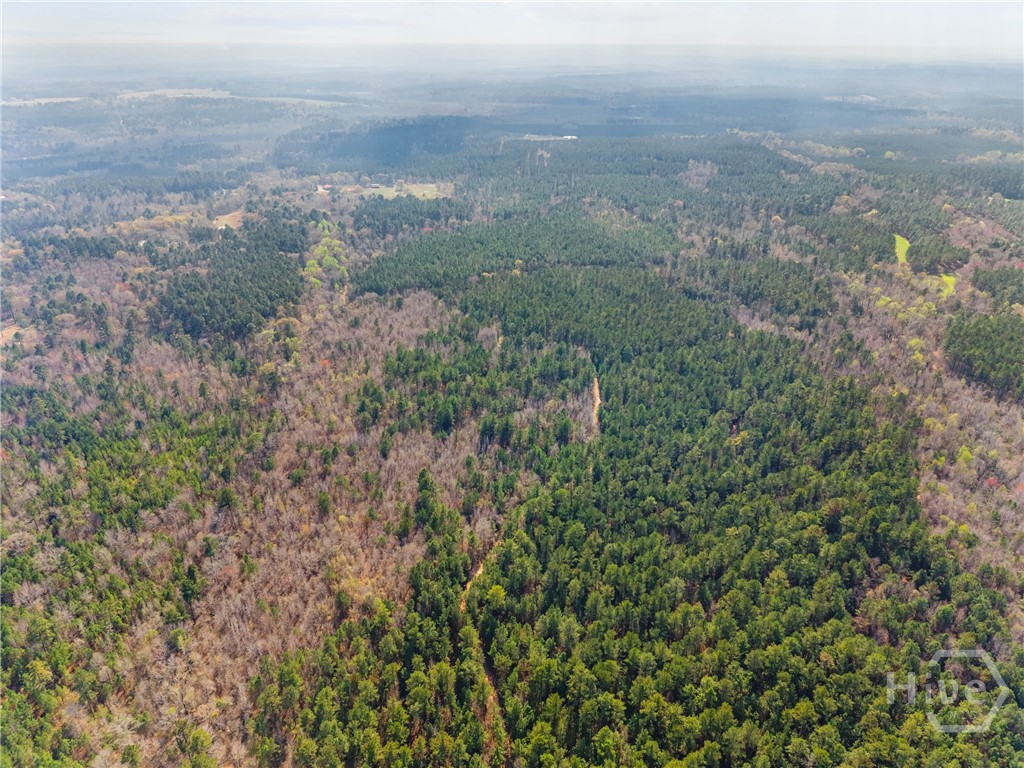 3127 Buttermilk, Sylvania, GA, 30467