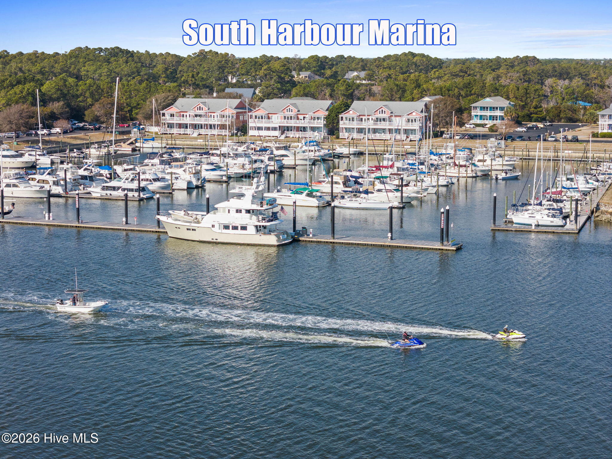 100558158 | Photo 47