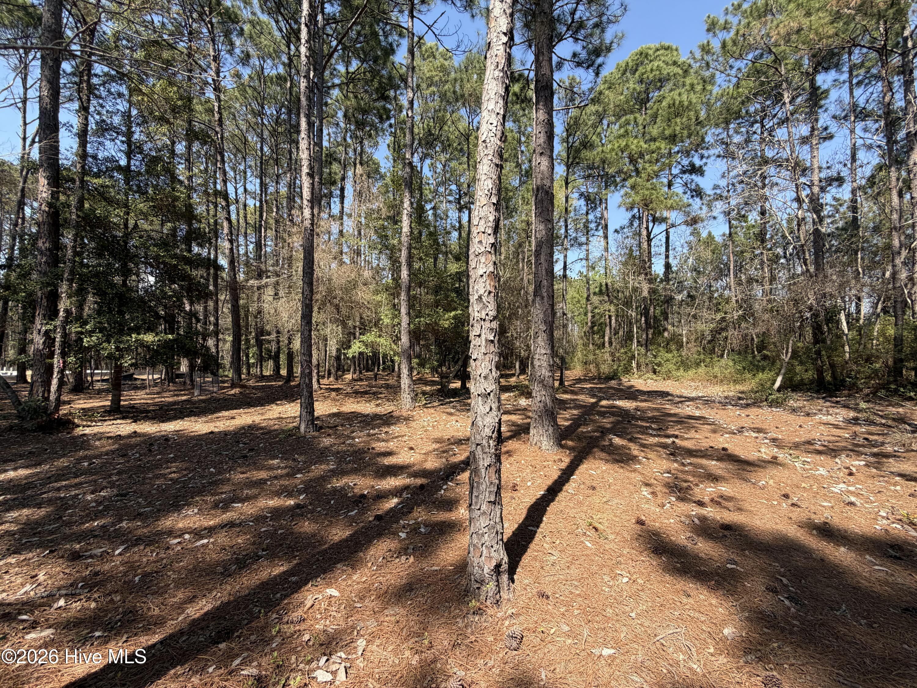 6786 Holton Place, Ocean Isle Beach, NC, 28469