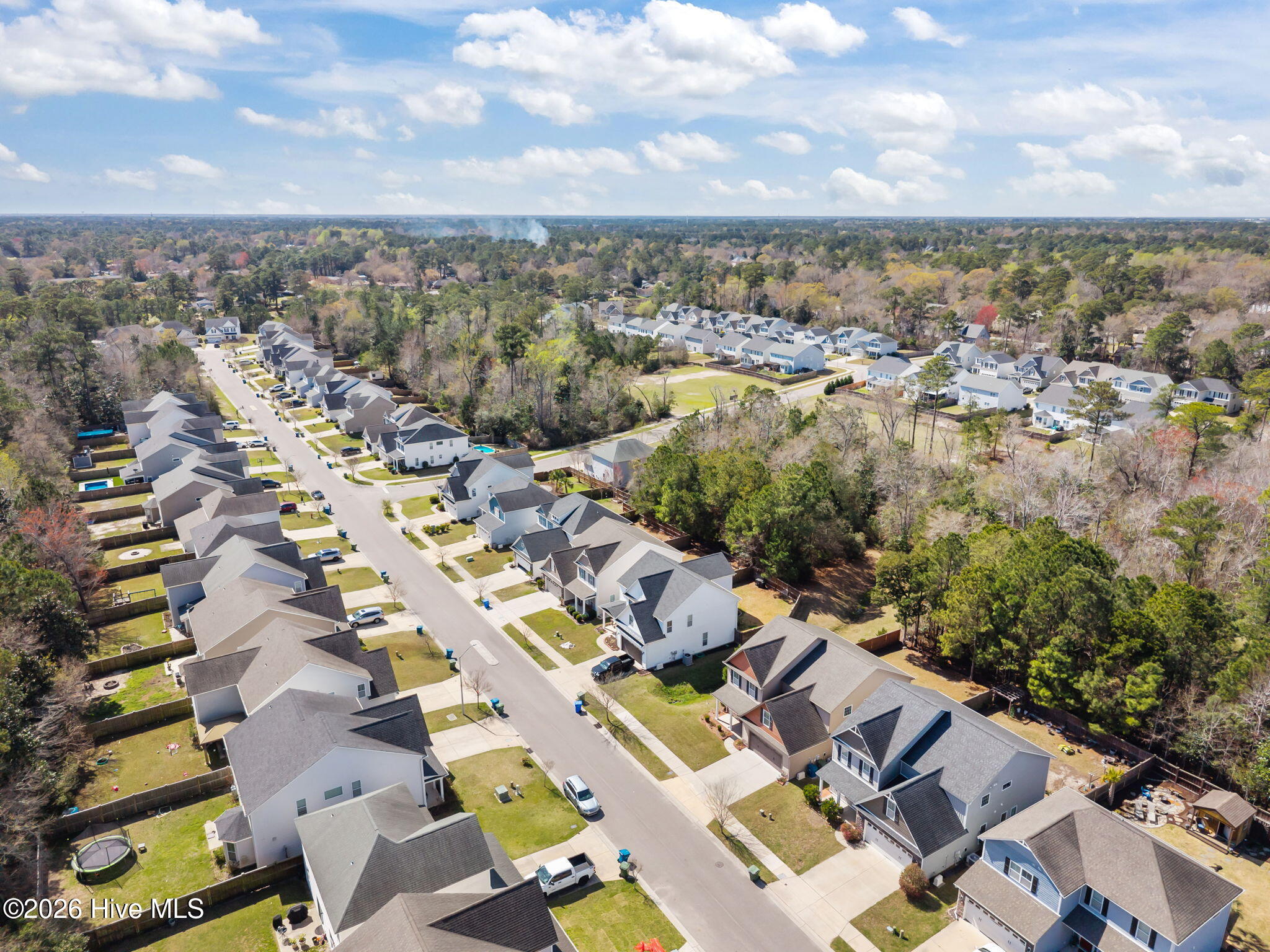 100560294 | Photo 60