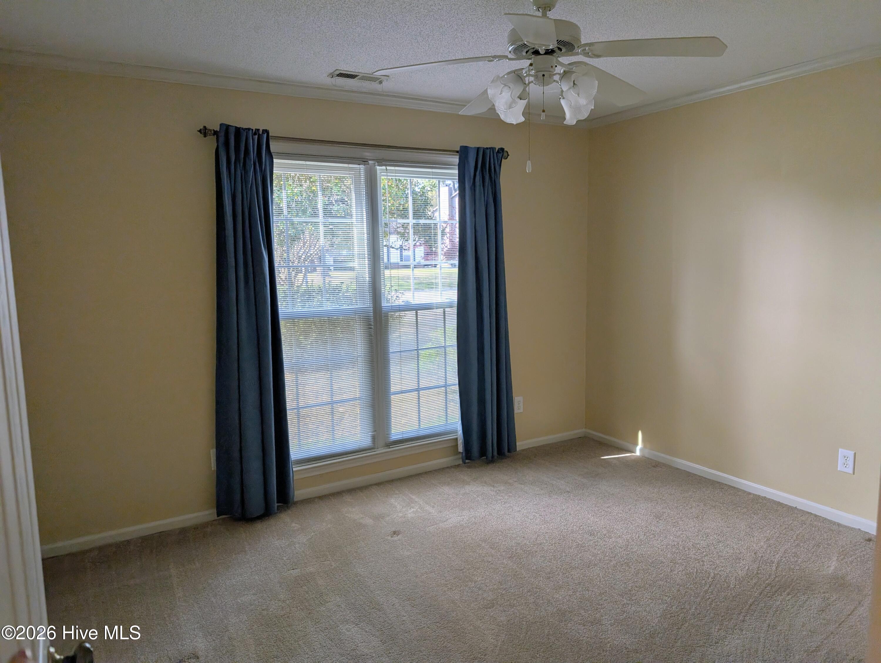 100561832 | Photo 23