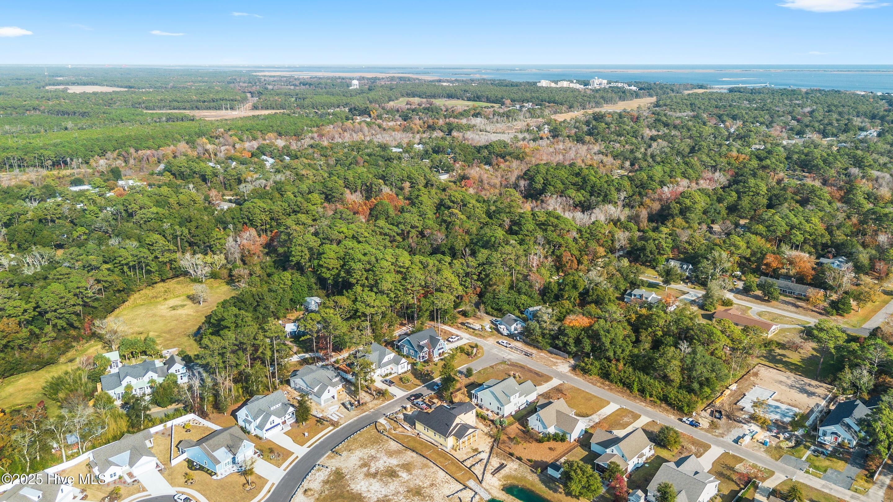 100543069 | Photo 31