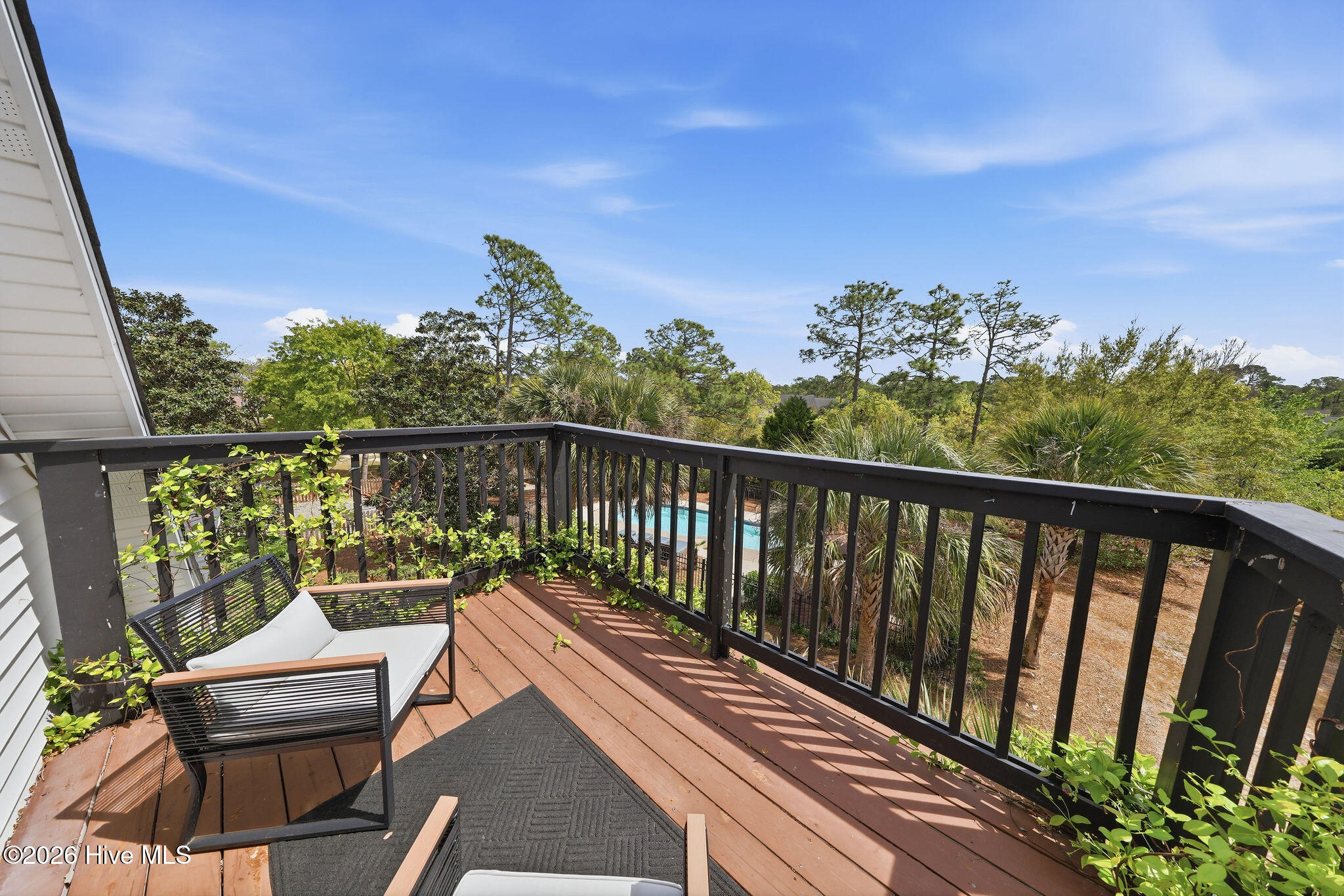 100565537 | Photo 90