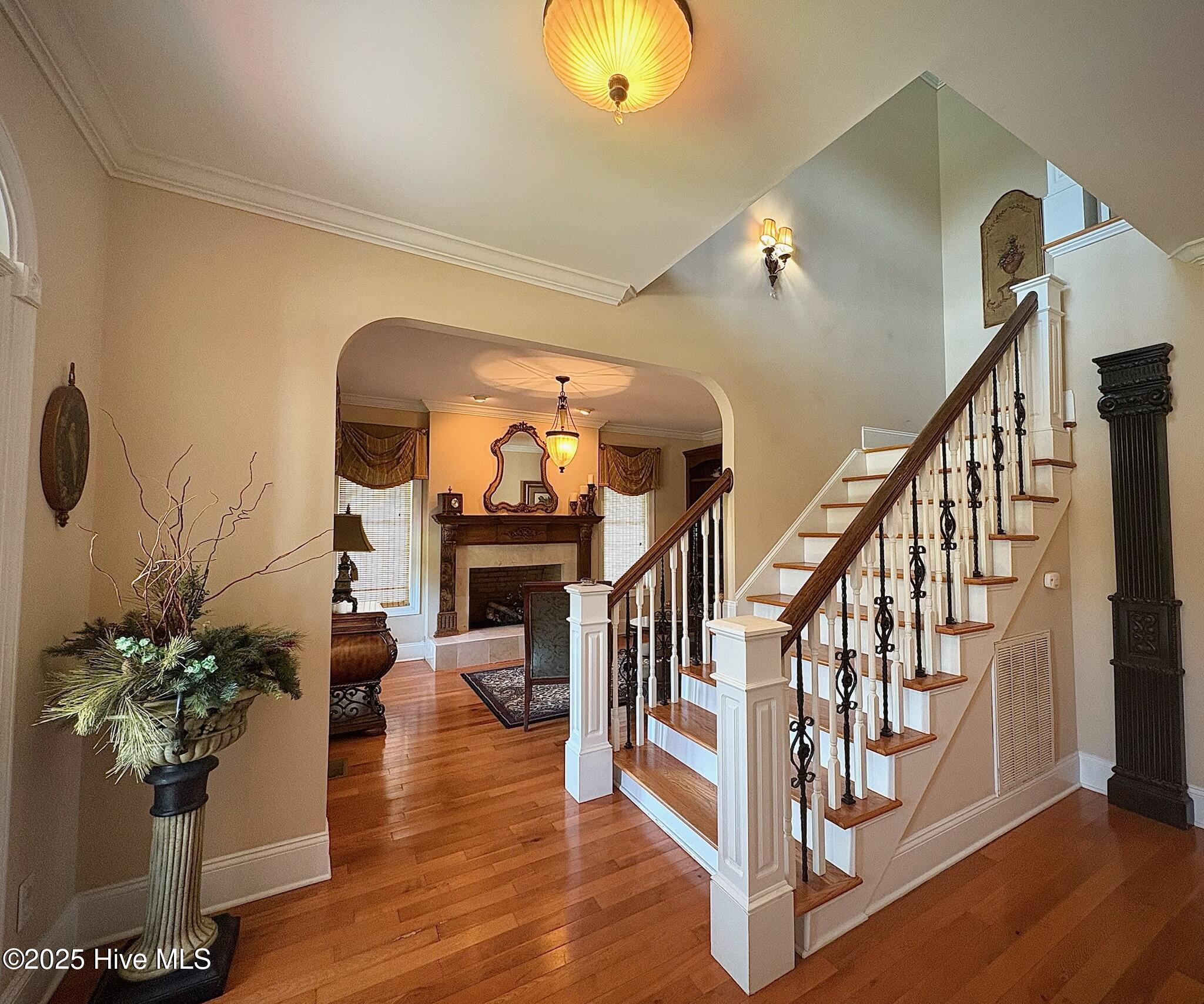 100518479 | Photo 11