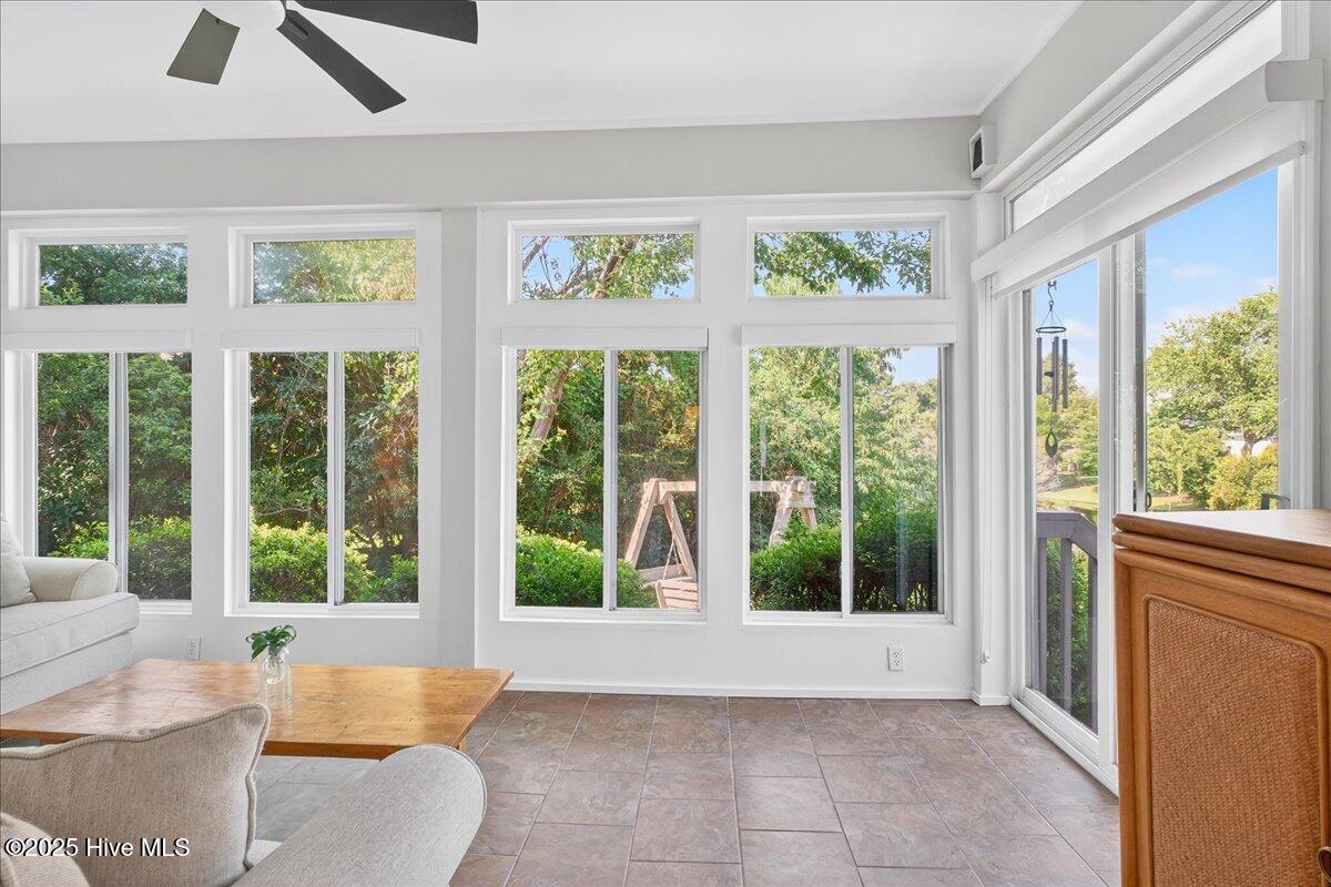 100561885 | Photo 23