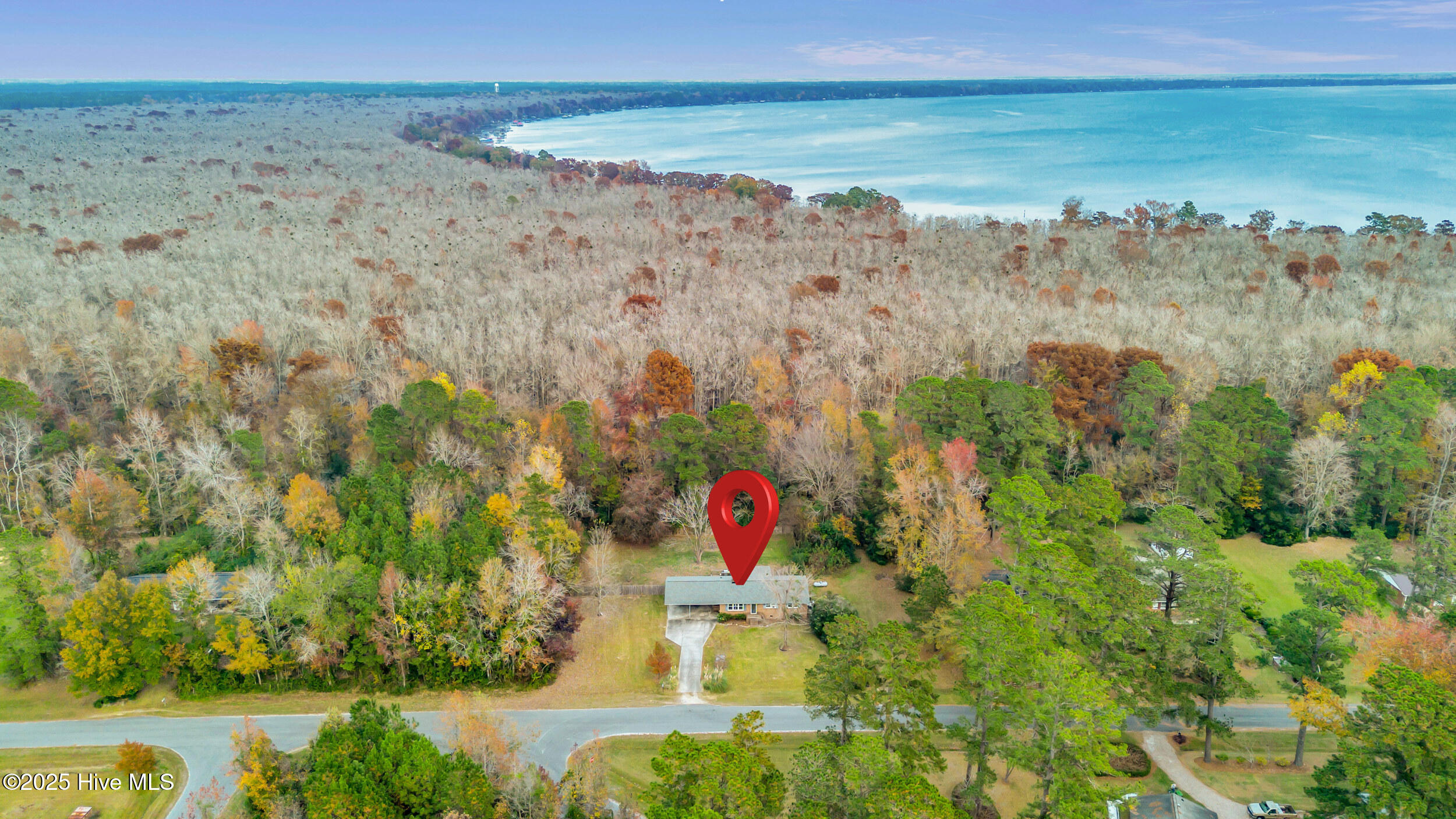 100543256 | Photo 43