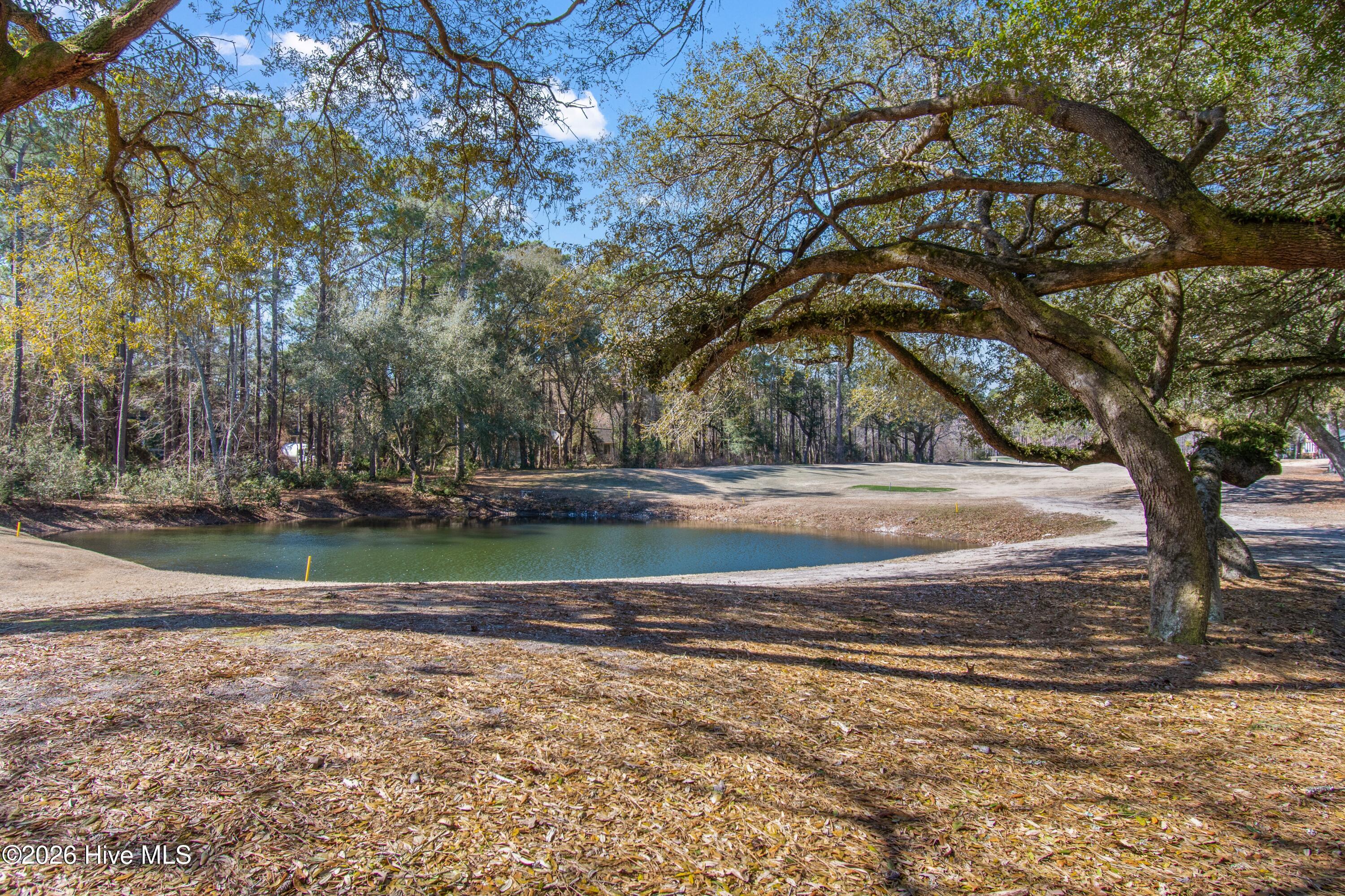 100556573 | Photo 54