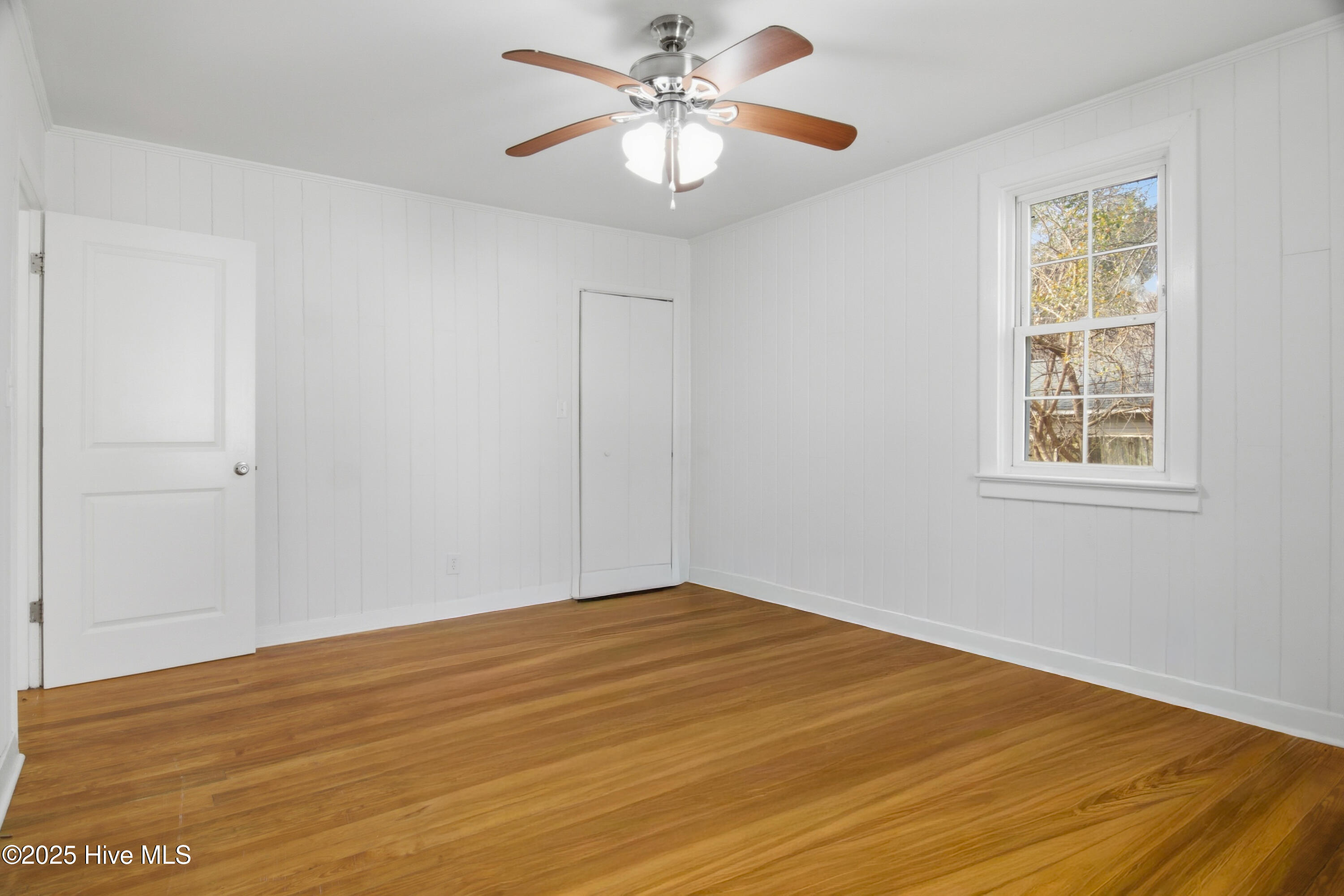 100546827 | Photo 11