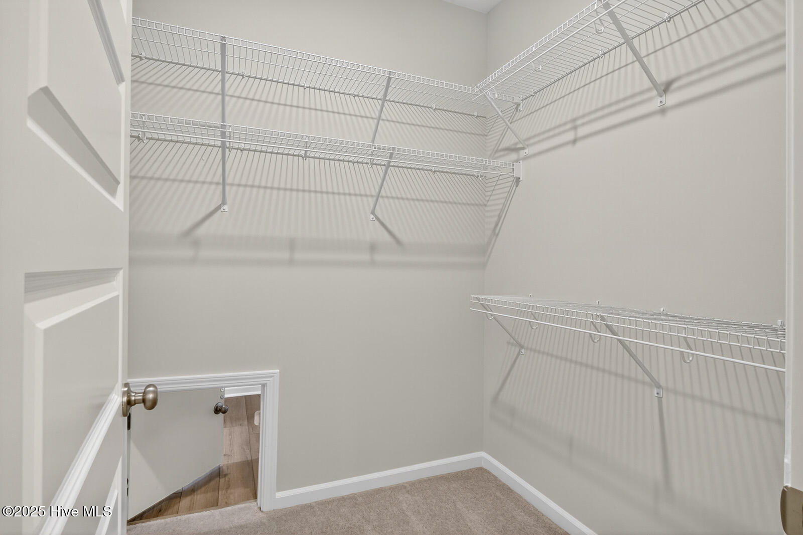 100559090 | Photo 16