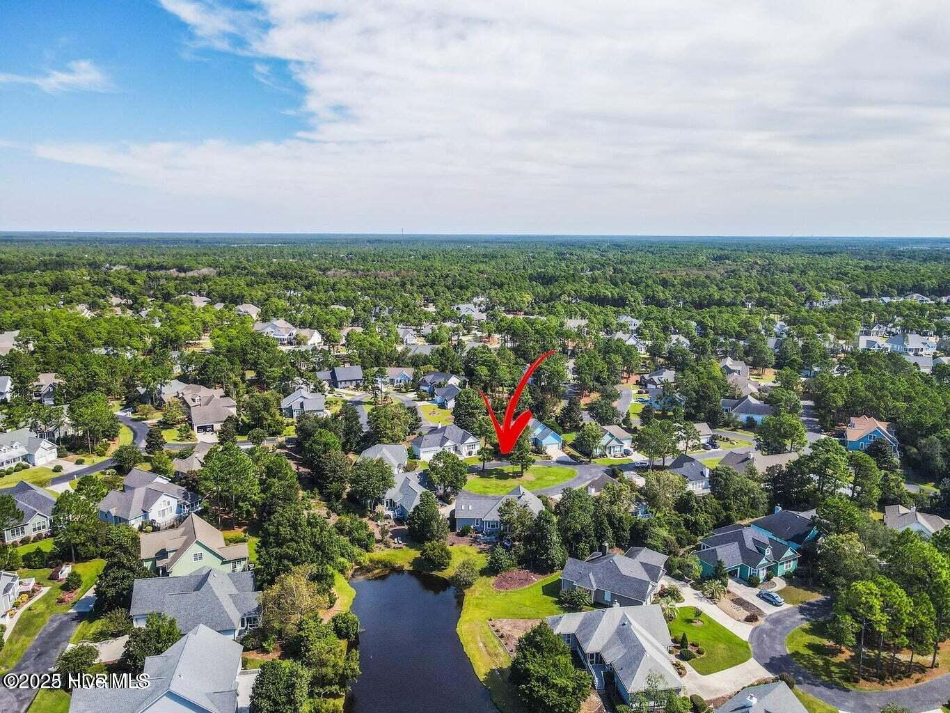 100561885 | Photo 97