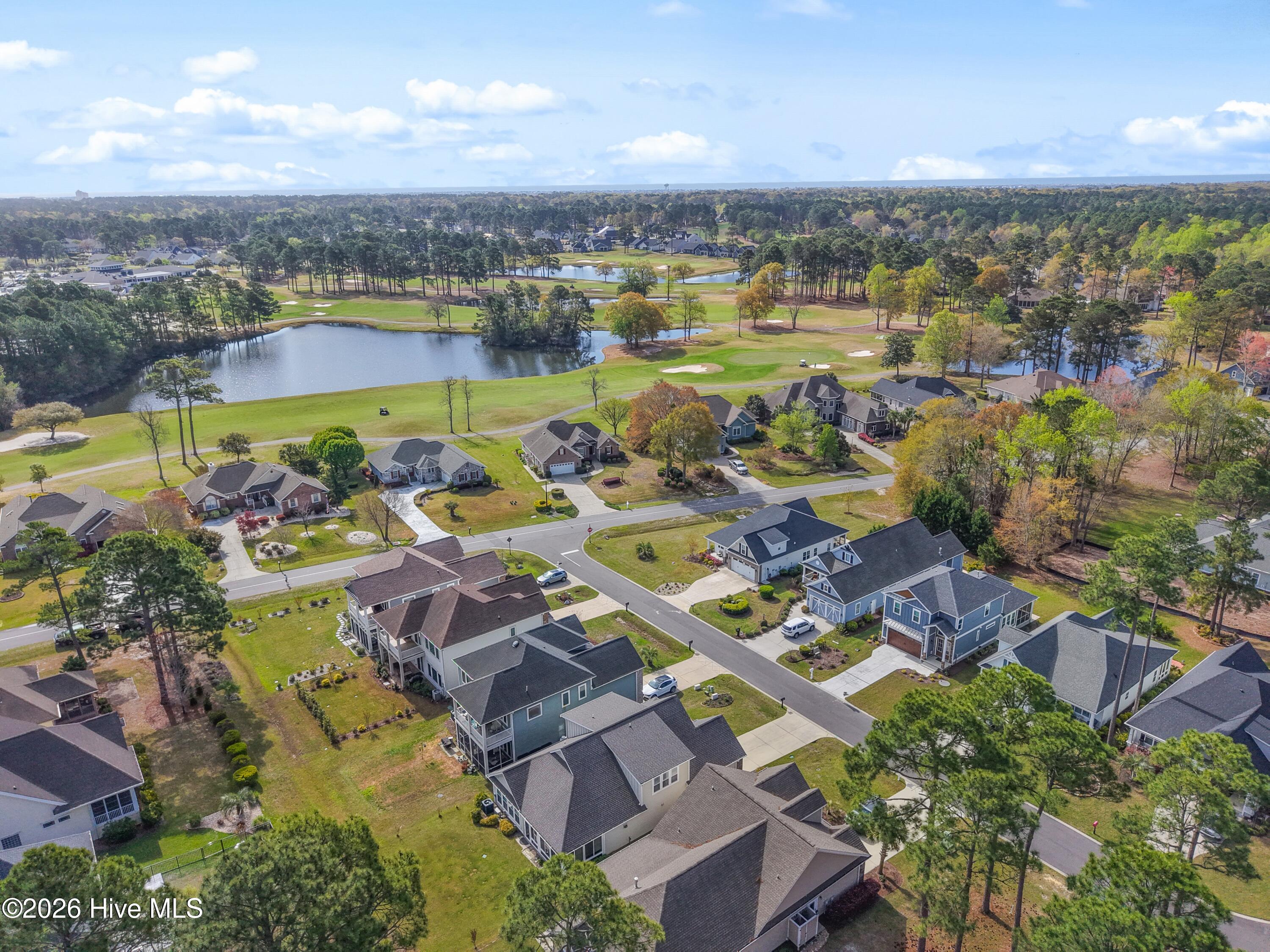 100563777 | Photo 50