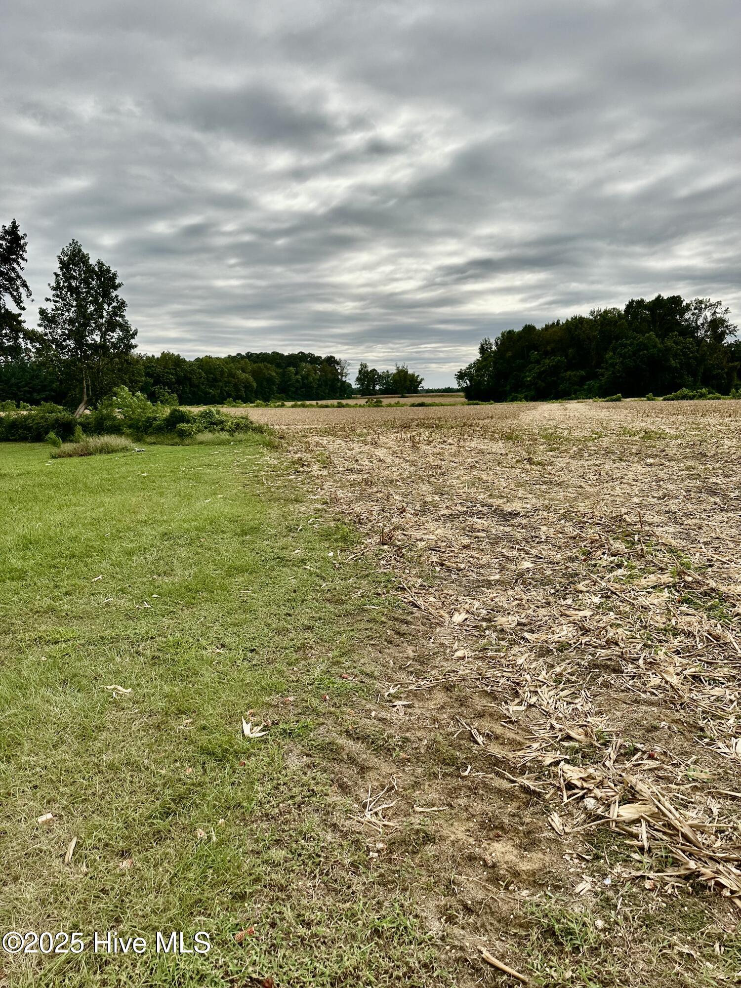 146 Cherry Street, Cerro Gordo, NC, 28430