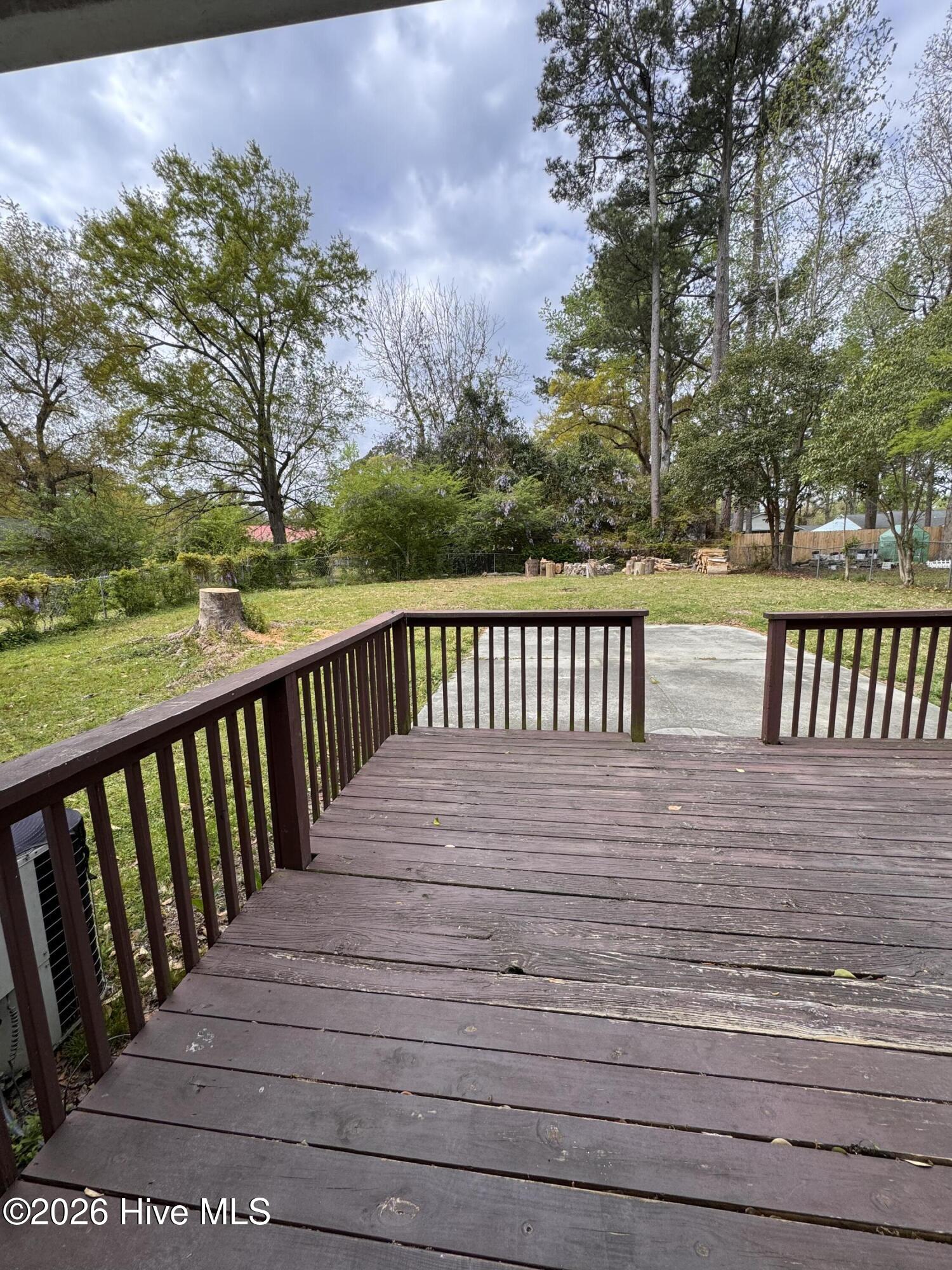 100564166 | Photo 12