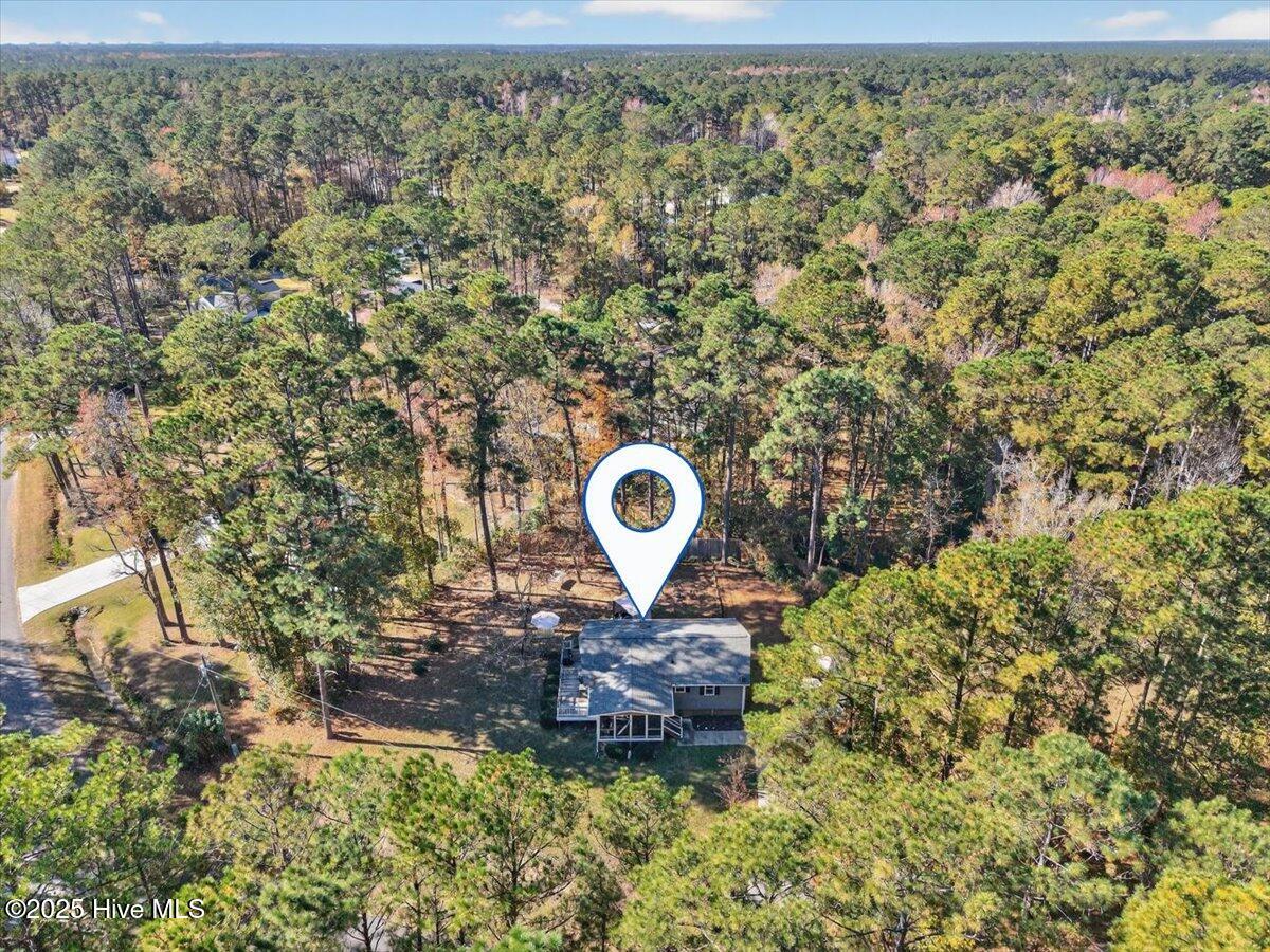 100542492 | Photo 44