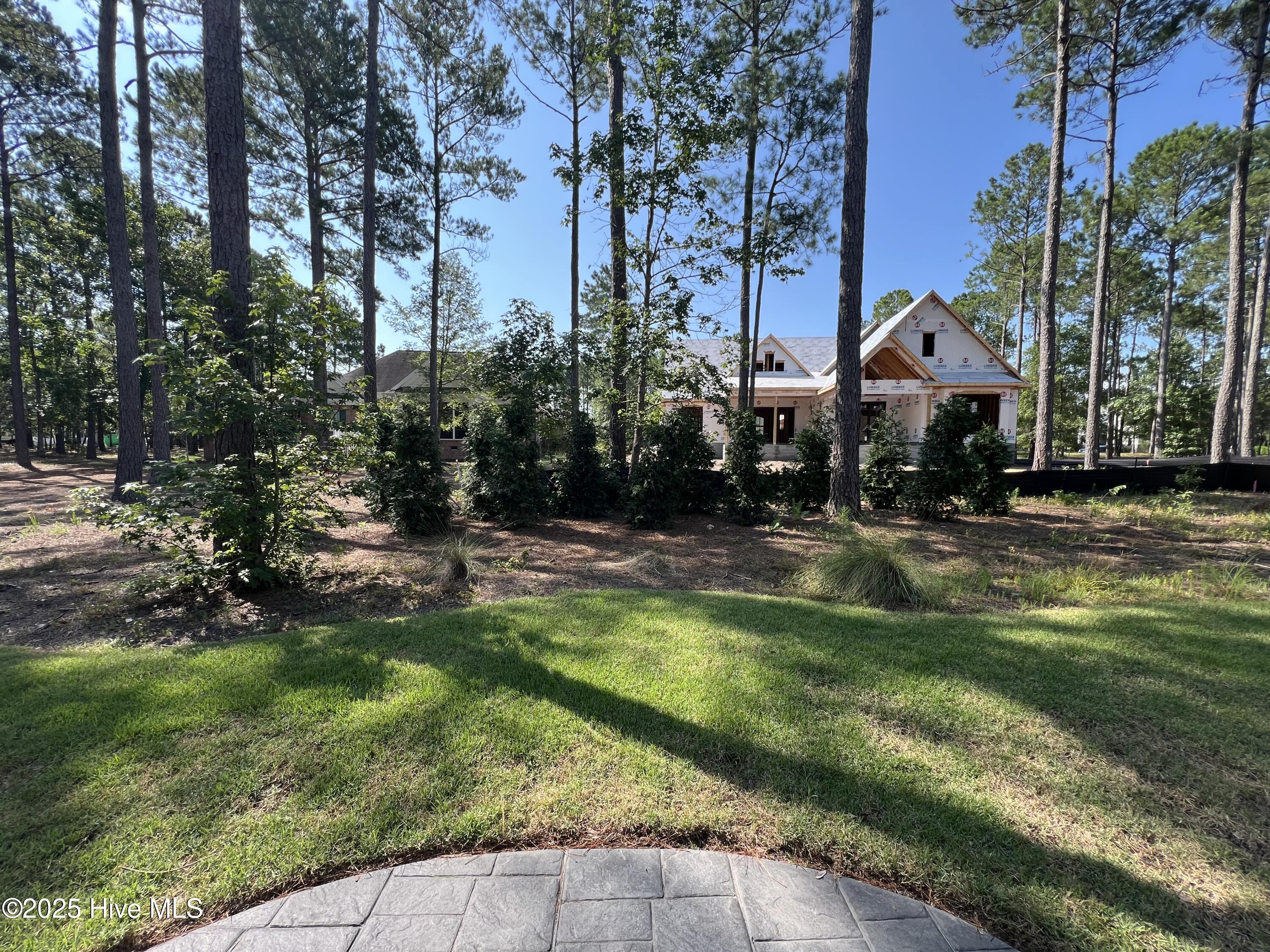 100518368 | Photo 93