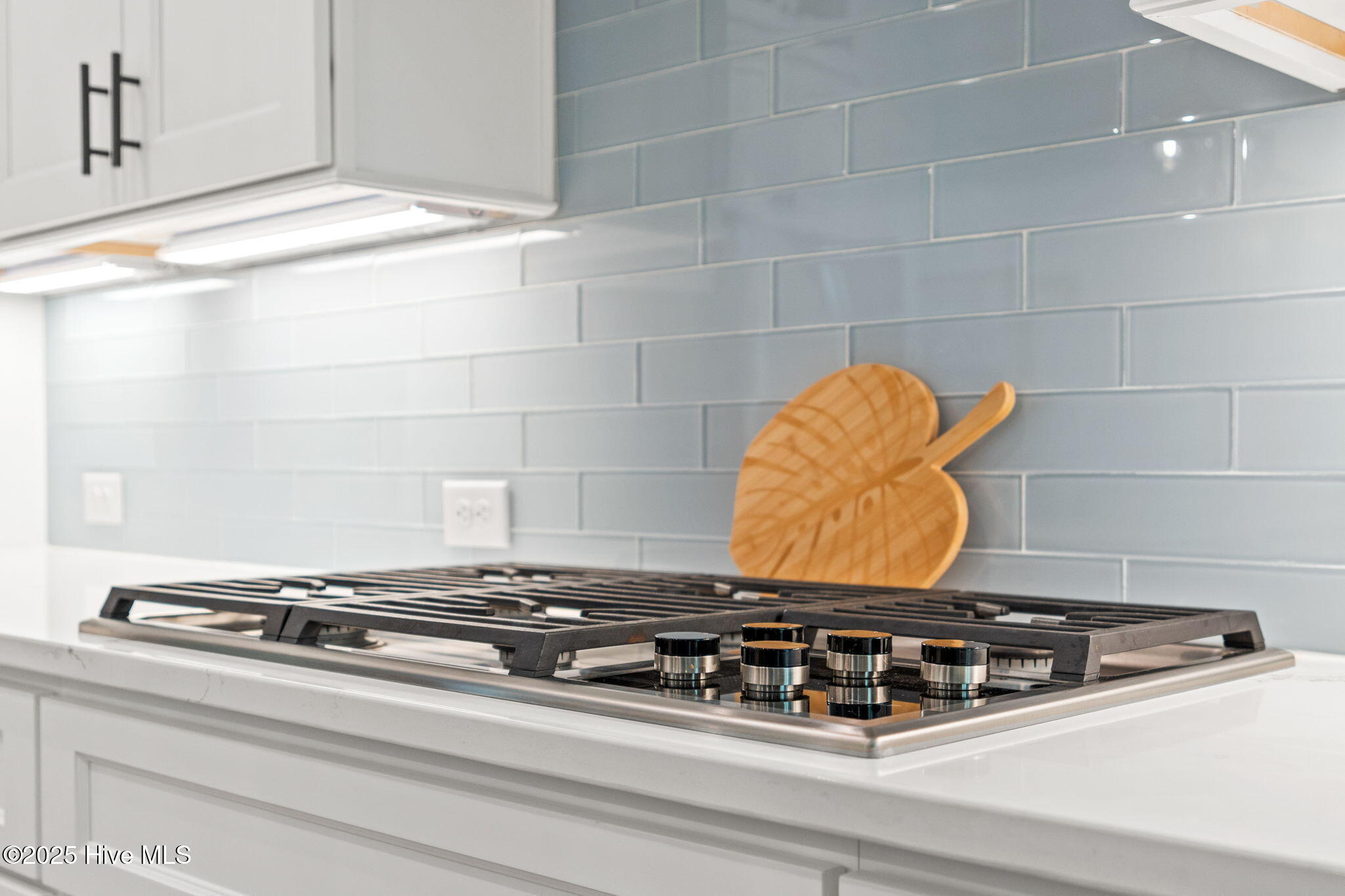 100516887 | Photo 12