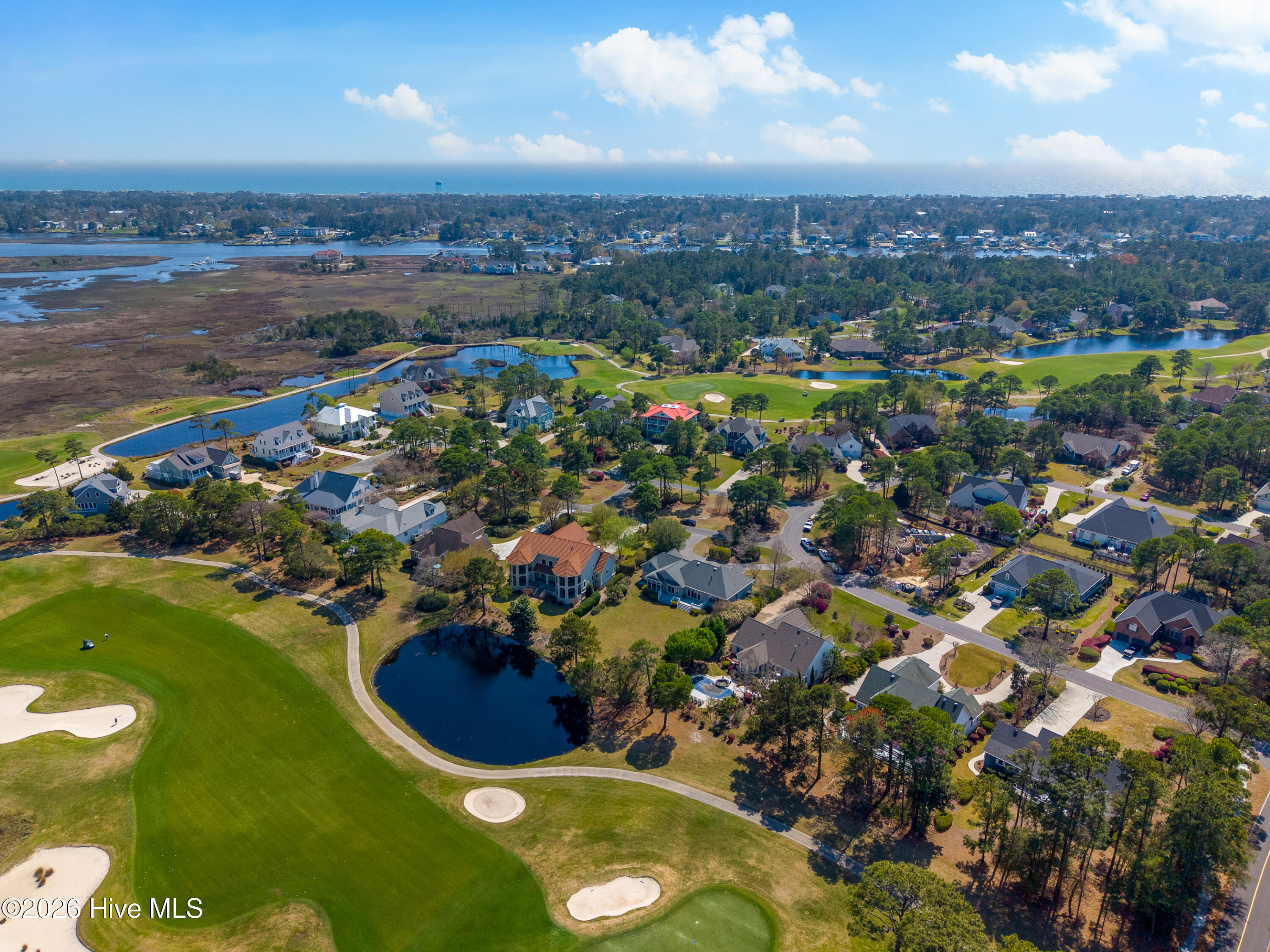 100564038 | Photo 51