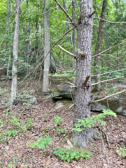 image0 (2)