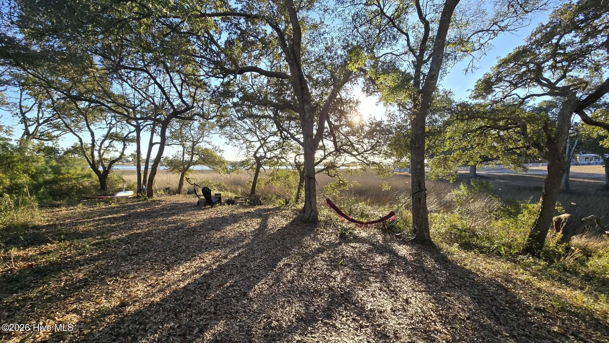 100547303 | Photo 58