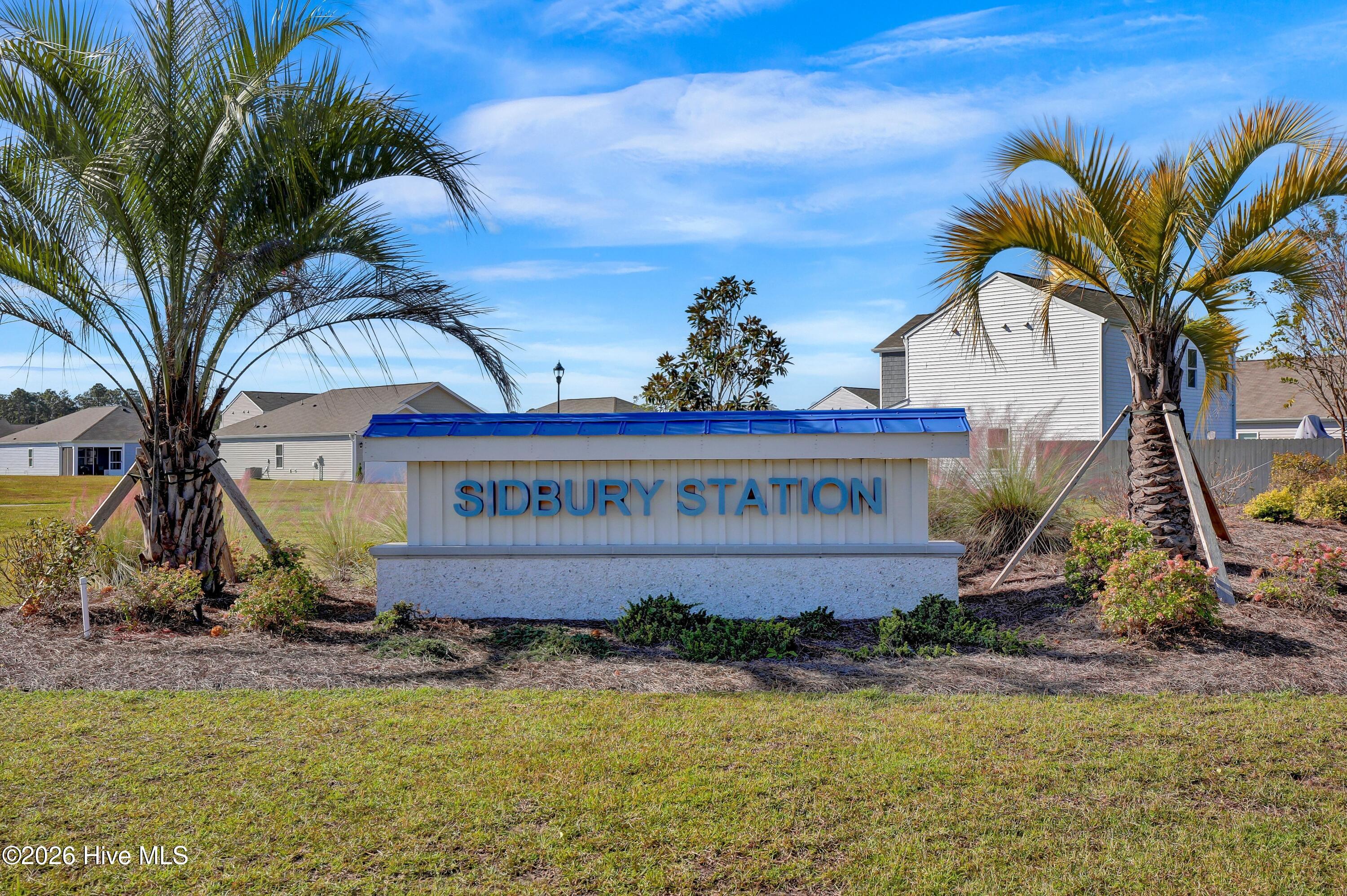 100558236 | Photo 47