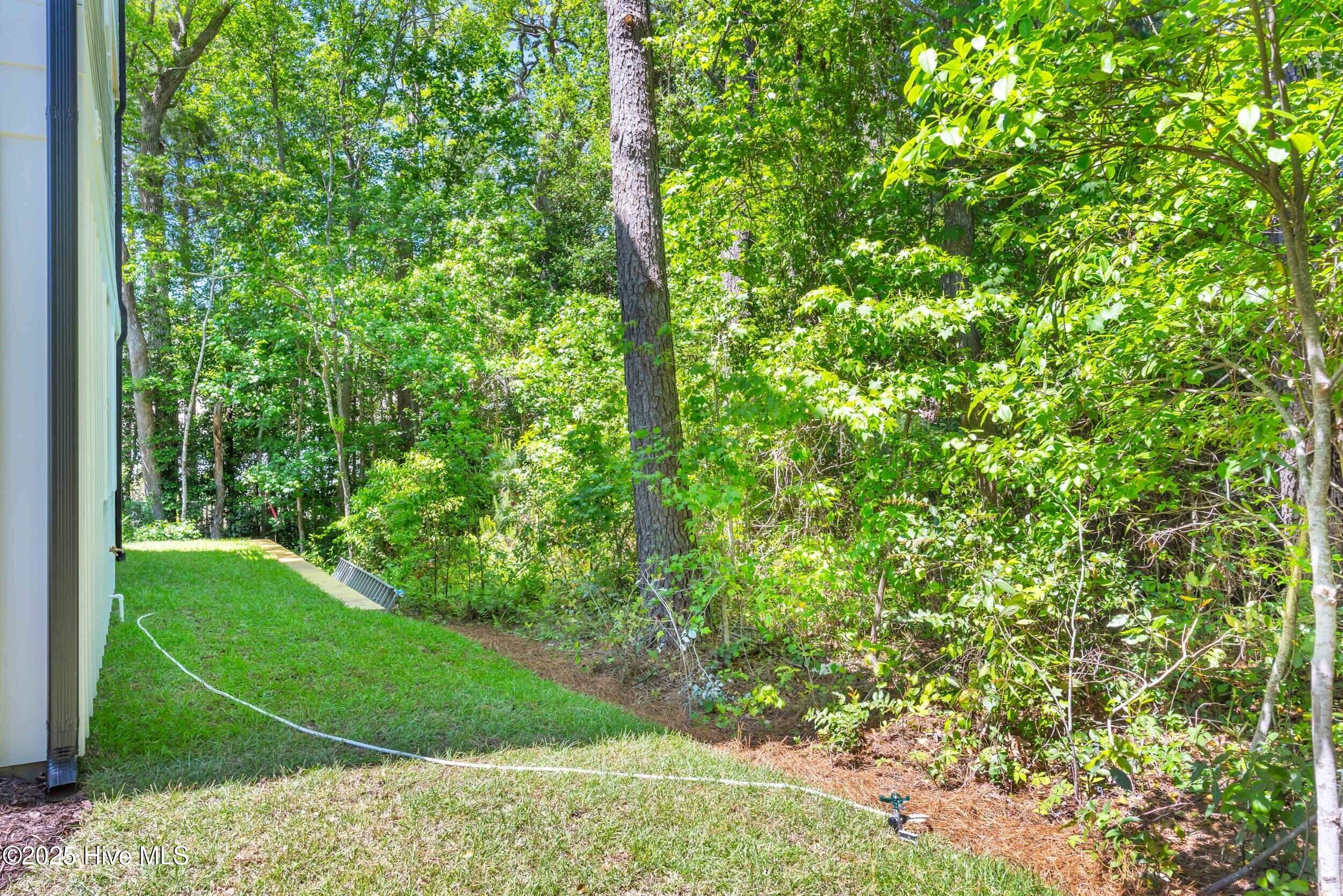 100501521 | Photo 42