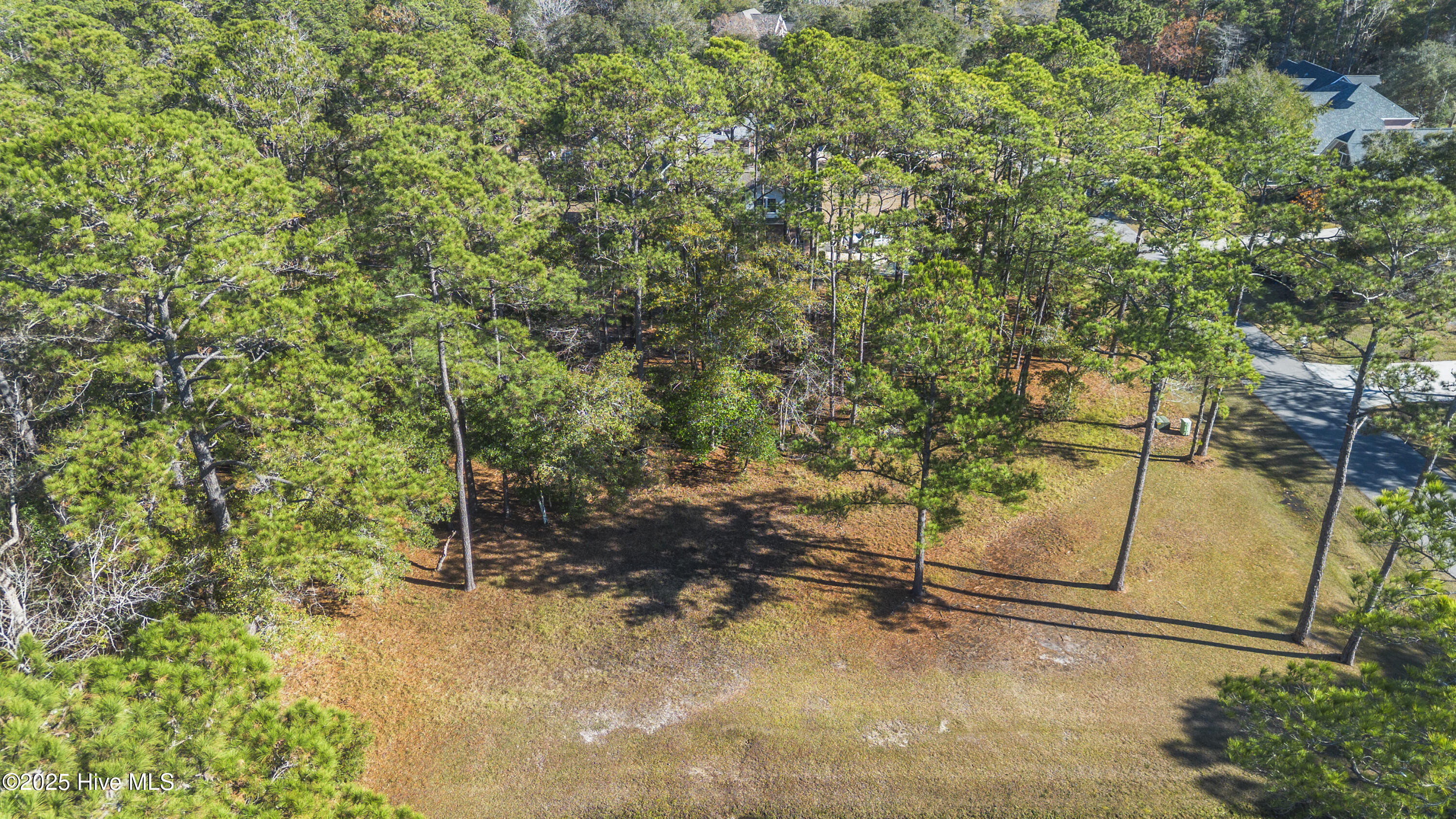 100545340 | Photo 12