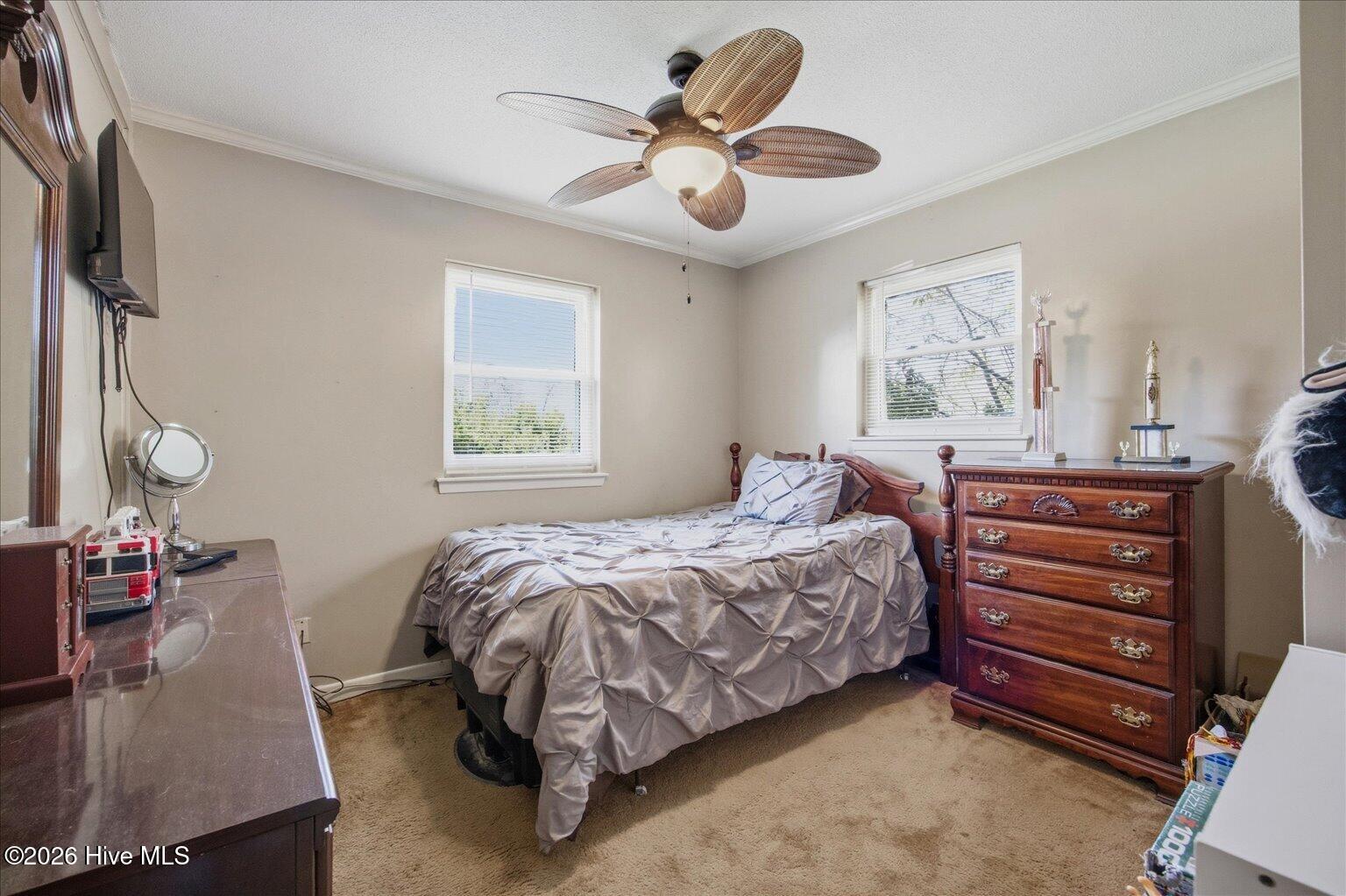 100562707 | Photo 21