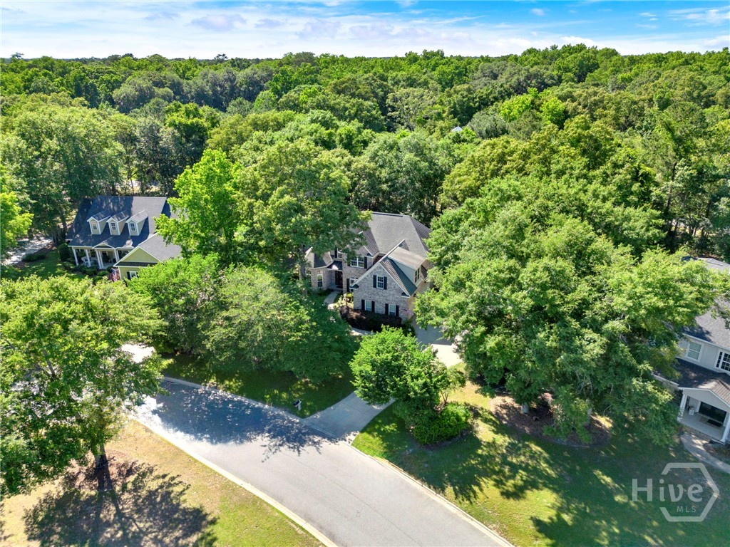 195 Chastain Circle, Richmond Hill, GA 31324 Listing Photo  38