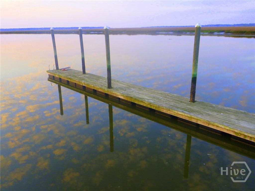 Homes for sale in Townsend, GA | Lot 33 Coopers Point, Townsend, GA 31331 | MLS# SA347869