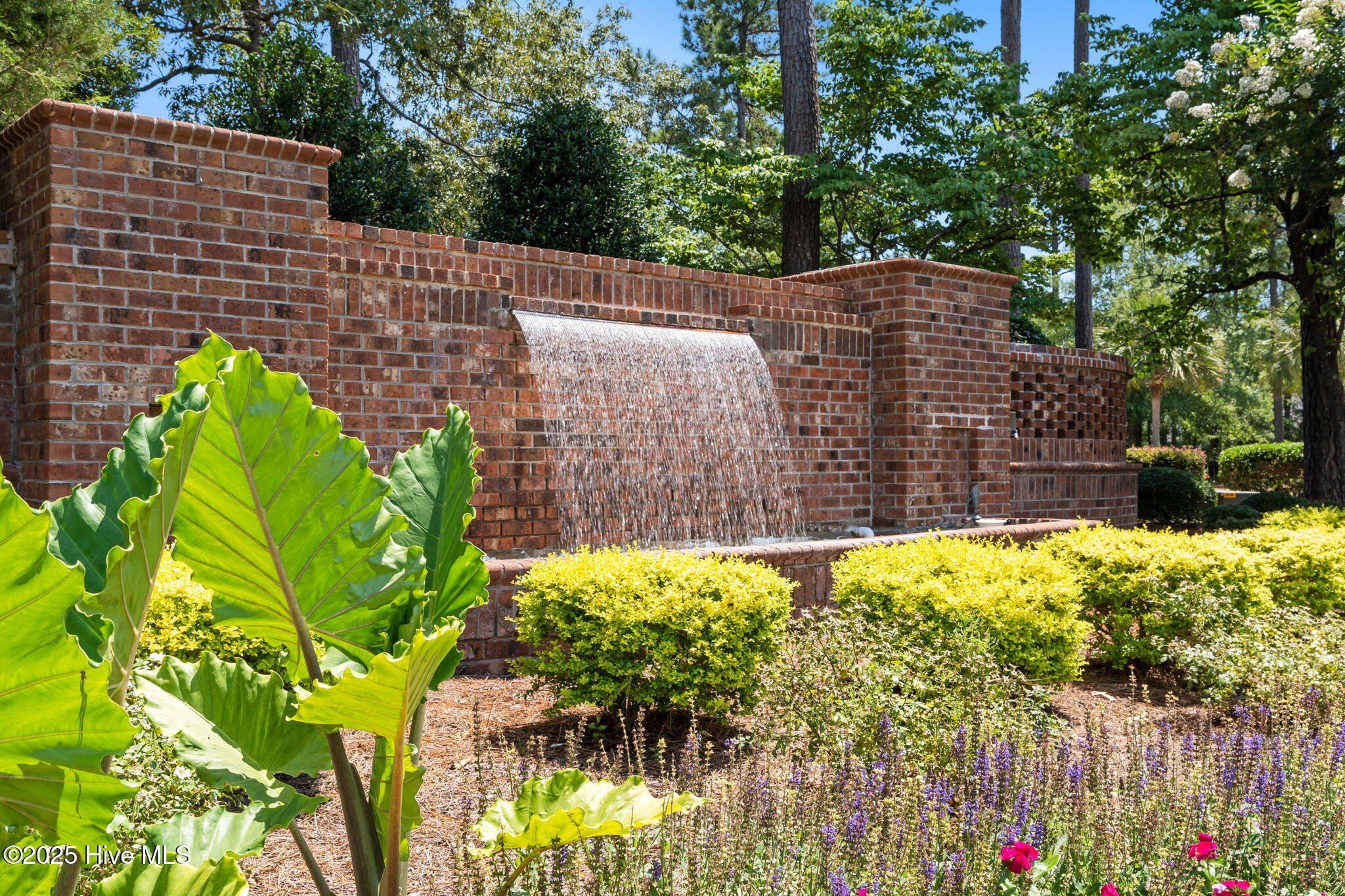 100516887 | Photo 83