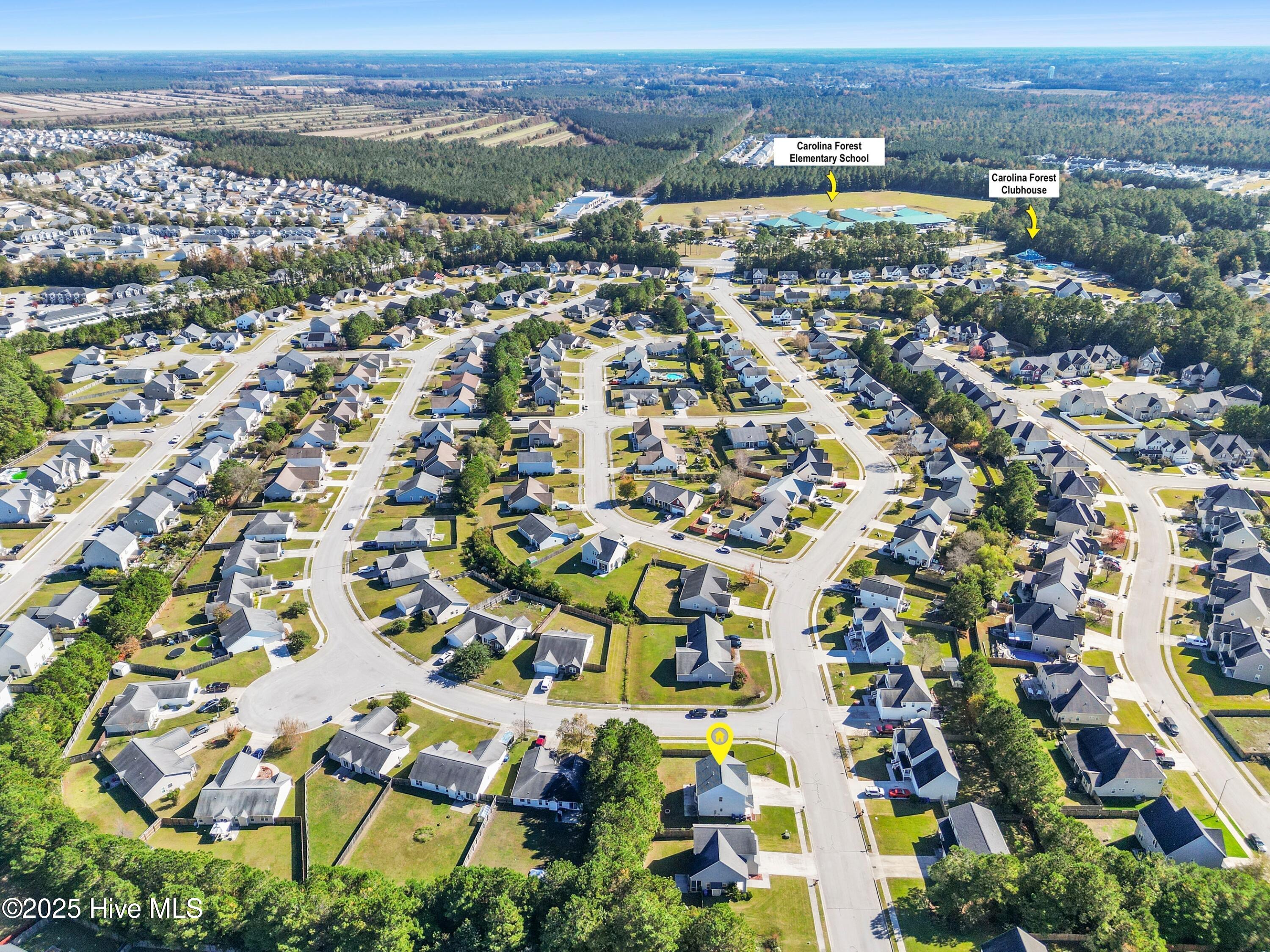 100539987 | Photo 31