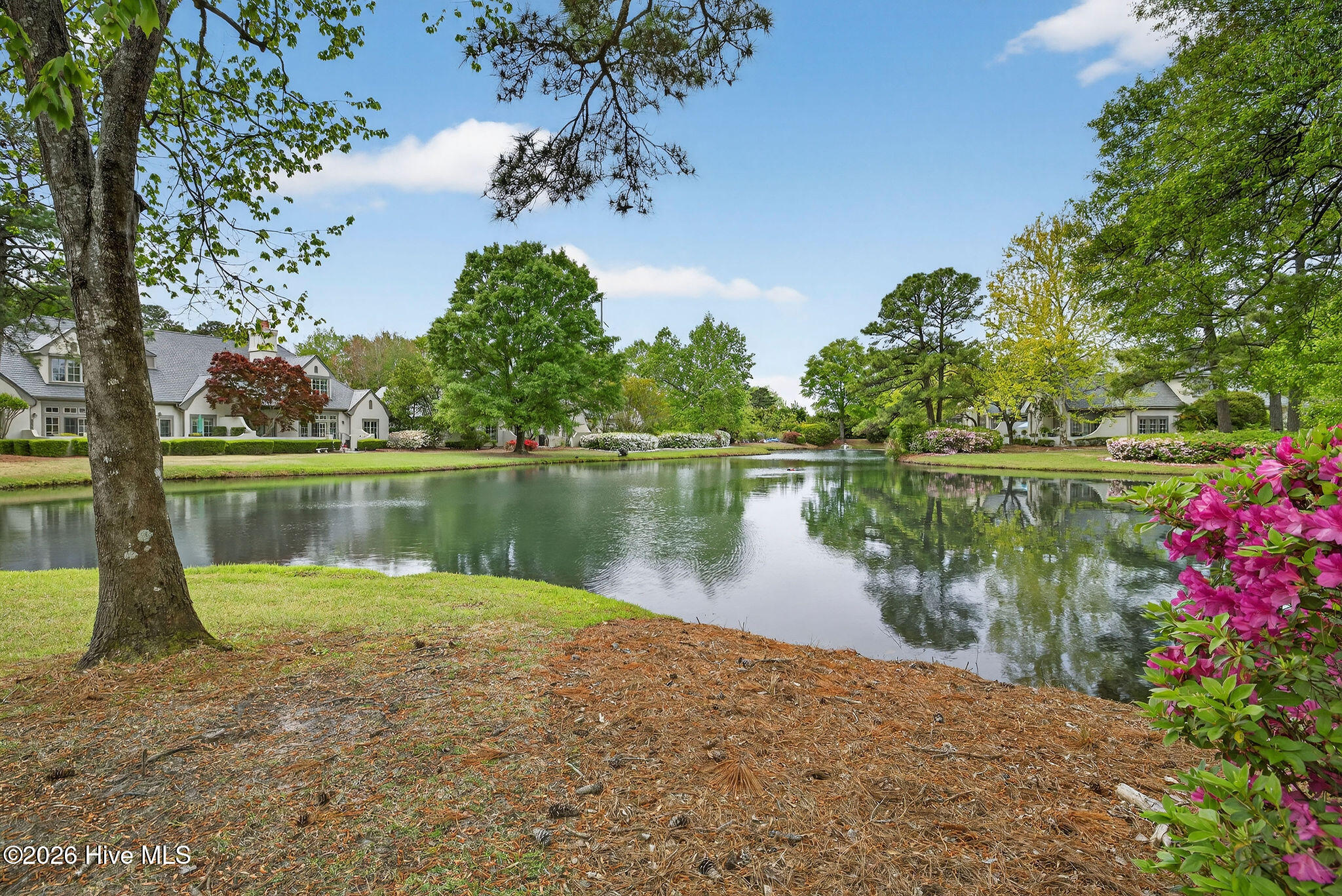 100565960 | Photo 19