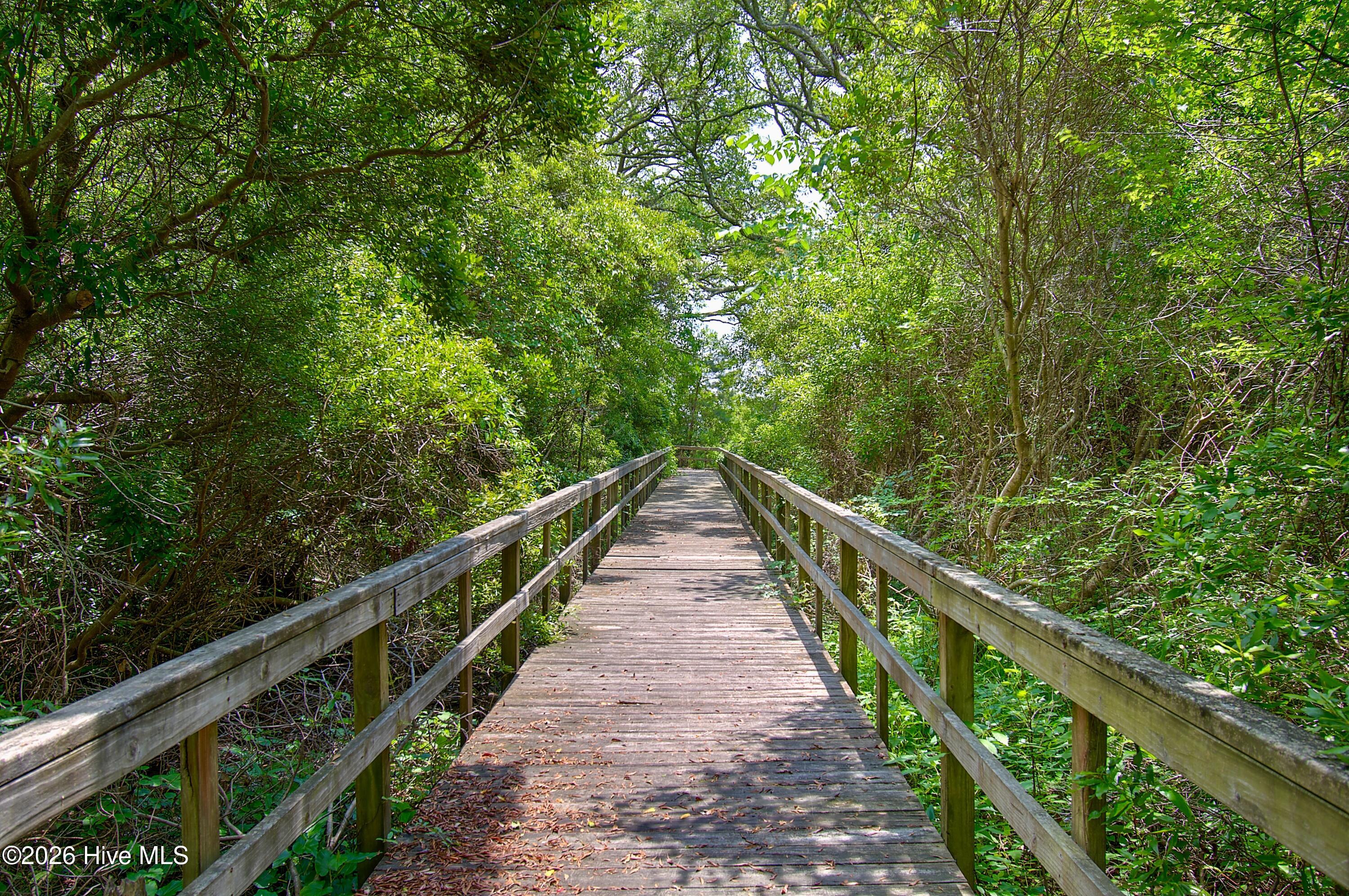 100565017 | Photo 83