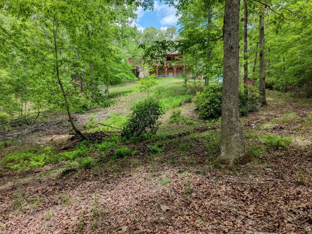 277 Clay Durrett Road, Murphy, NC 28906 Listing Photo  66