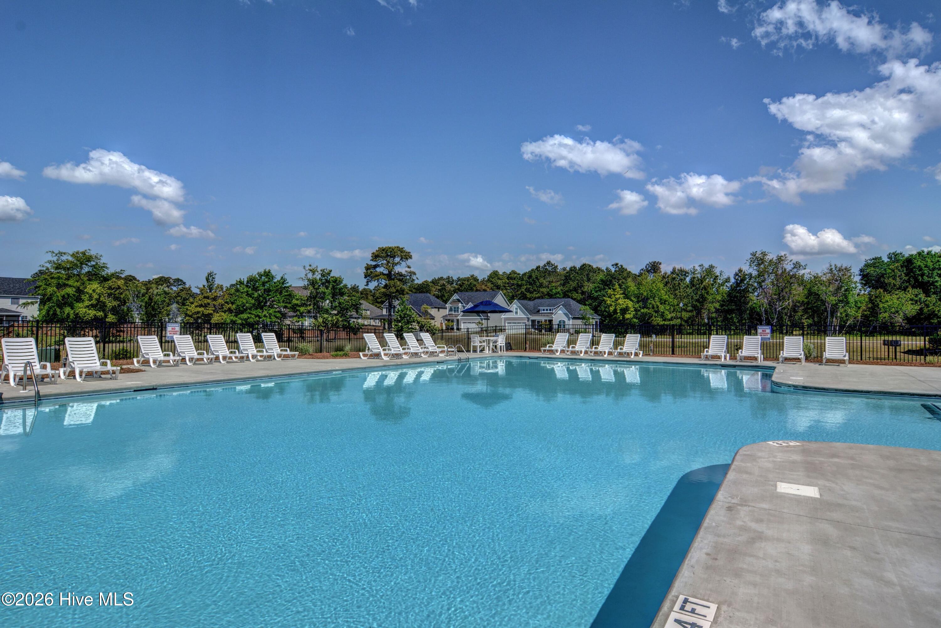 100553232 | Photo 45