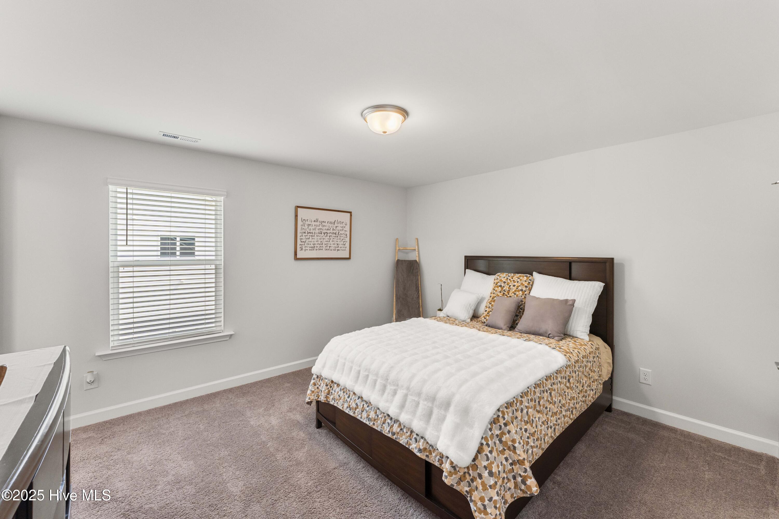 205 Morningside Lane, Angier, NC, 27501