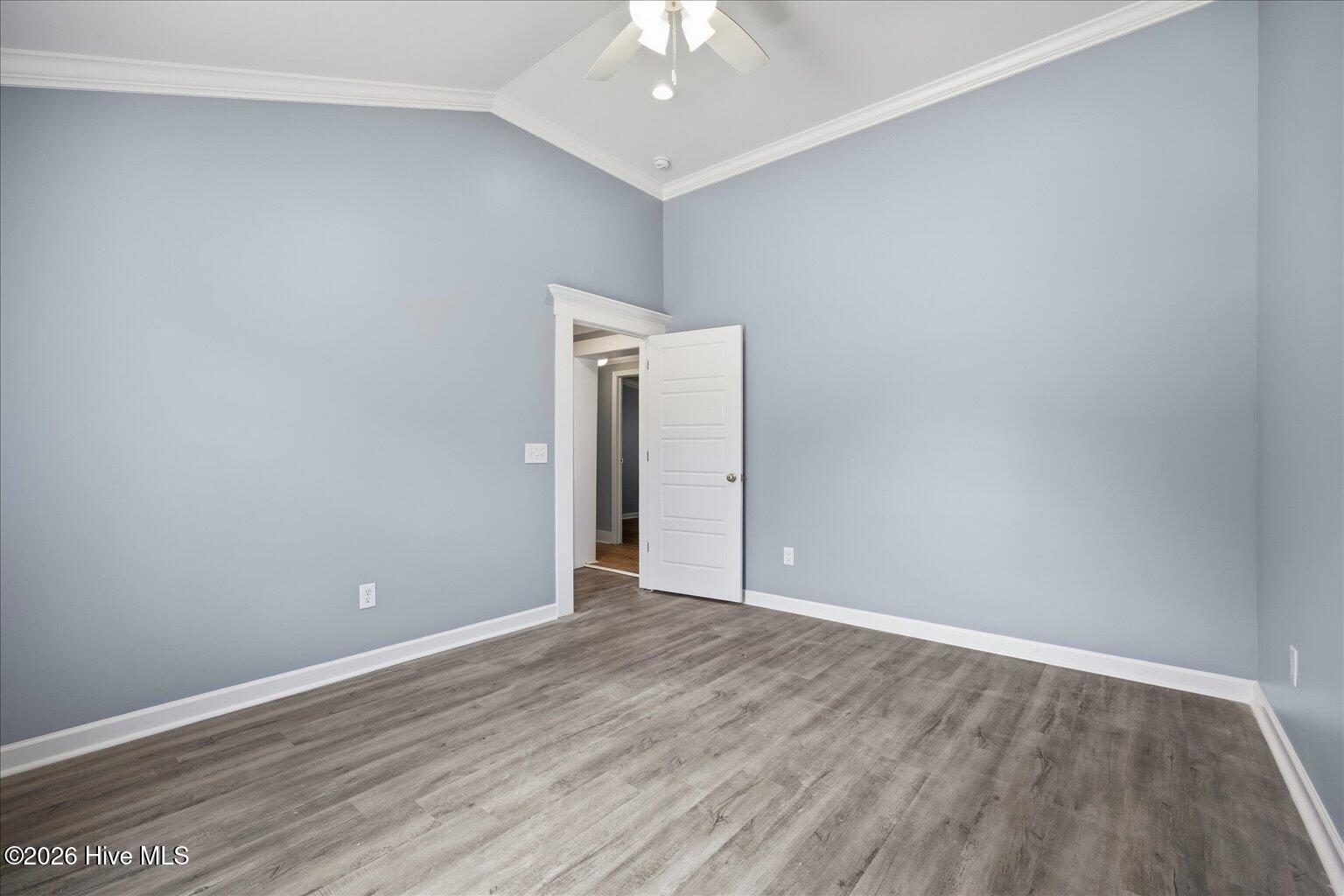 100565054 | Photo 65