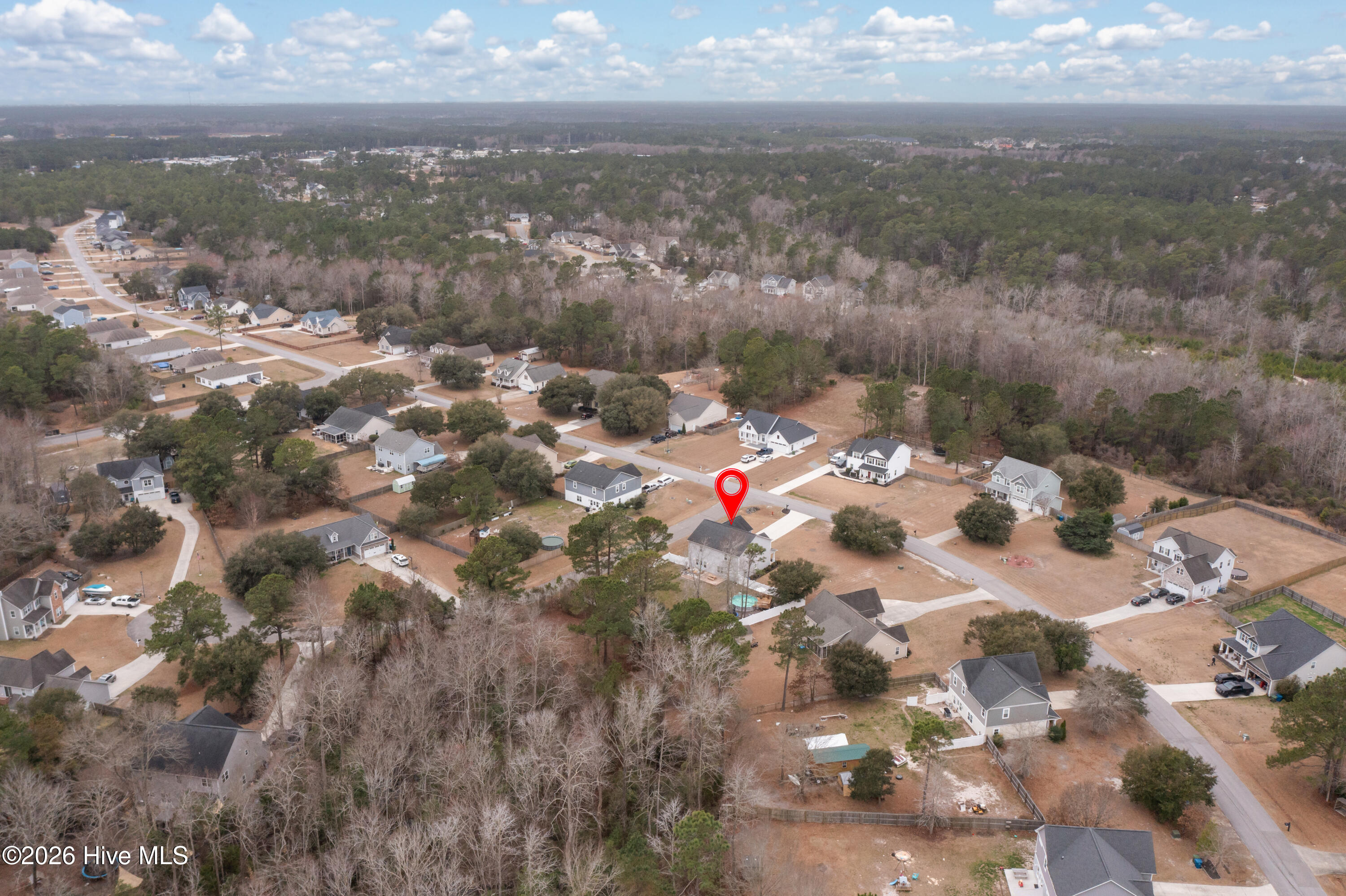 100558497 | Photo 64