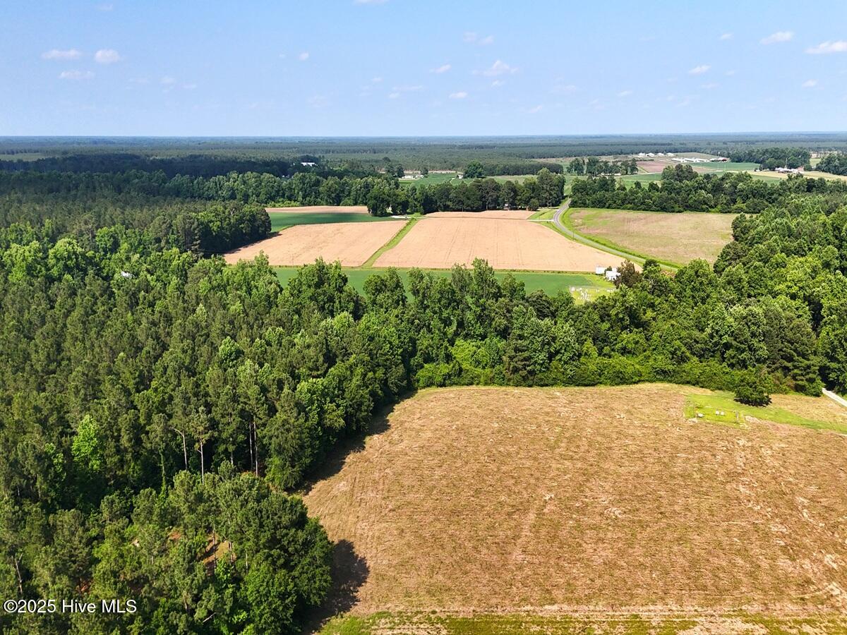 100513588 | Photo 21