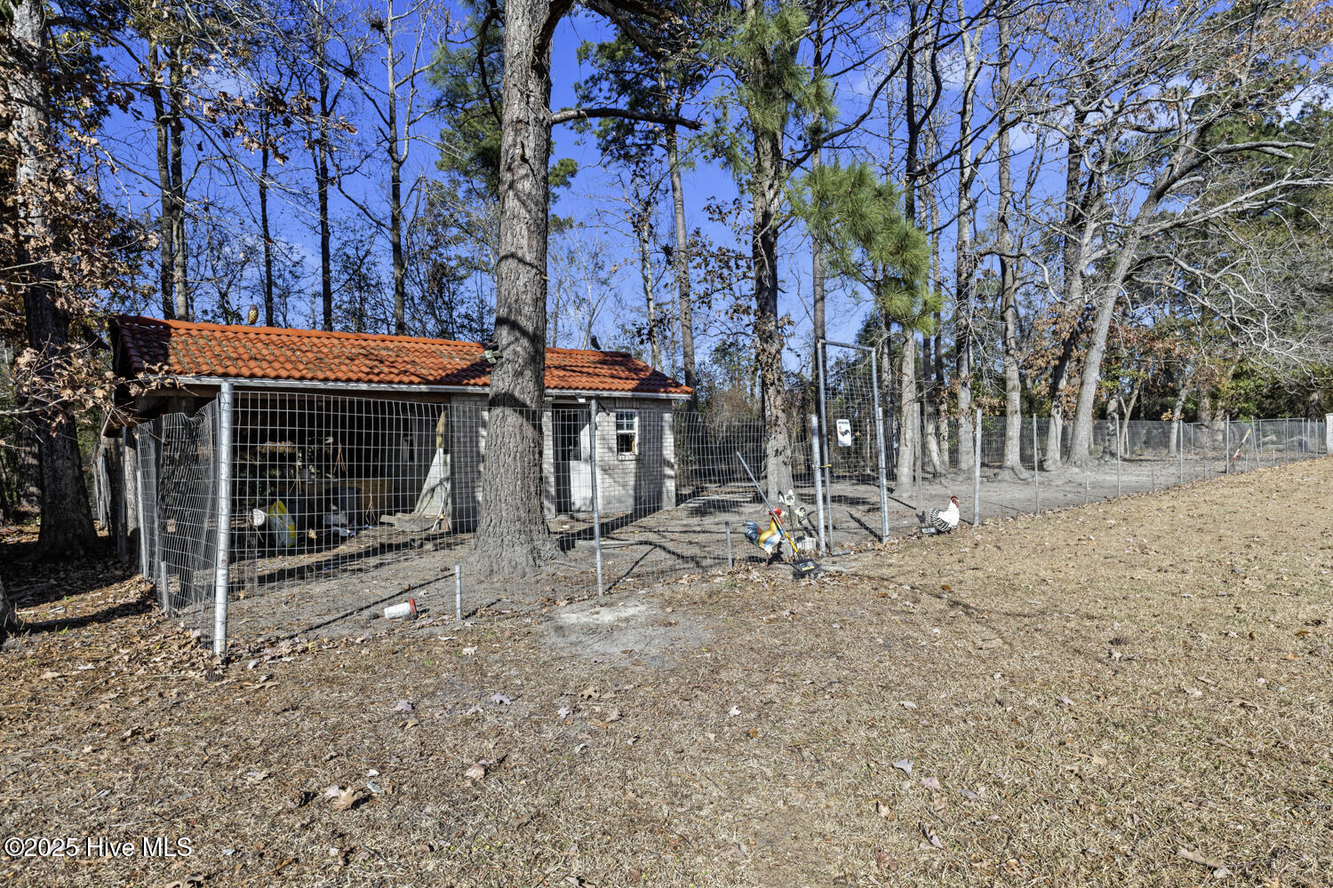 100546022 | Photo 78